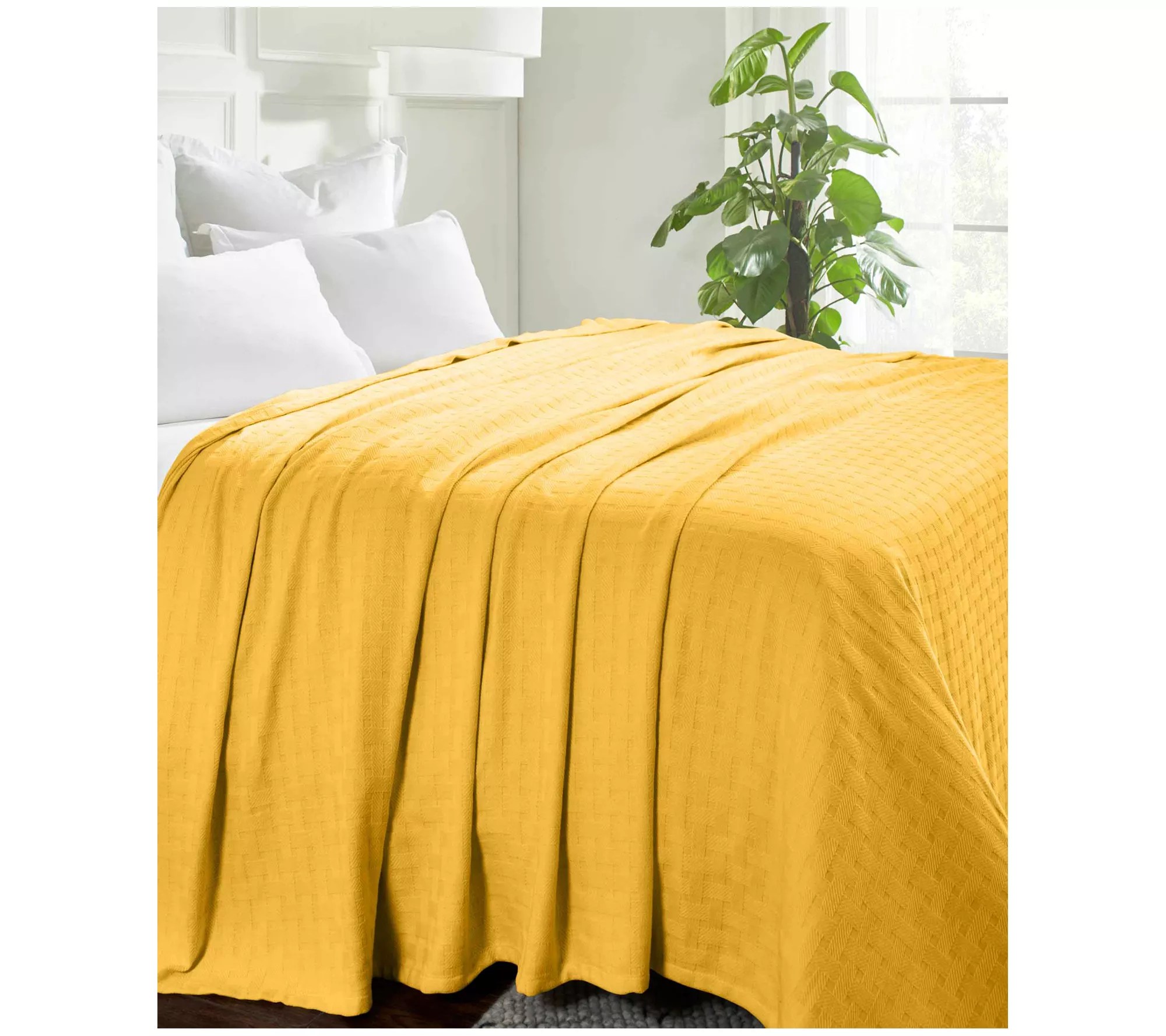 Superior Cotton AllSeason Plush King Blanket