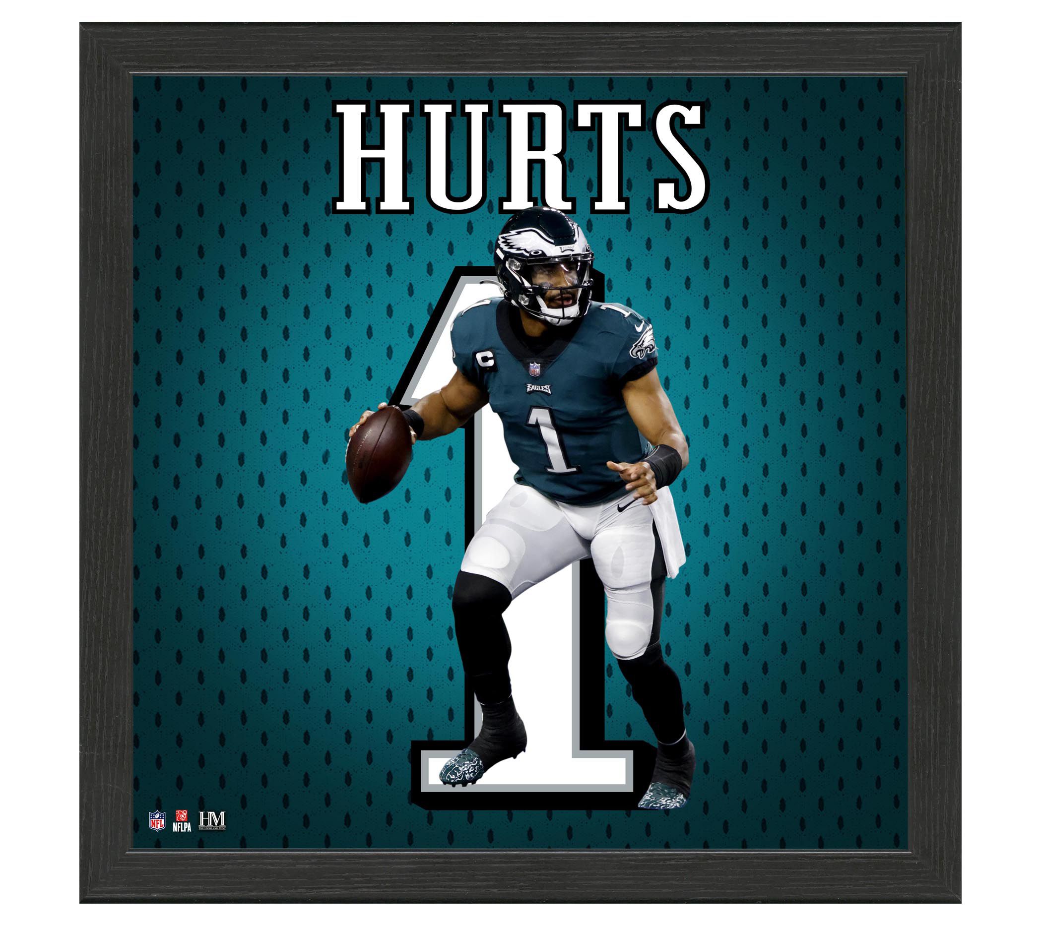 Highland Mint NFL Player Jersey Frame