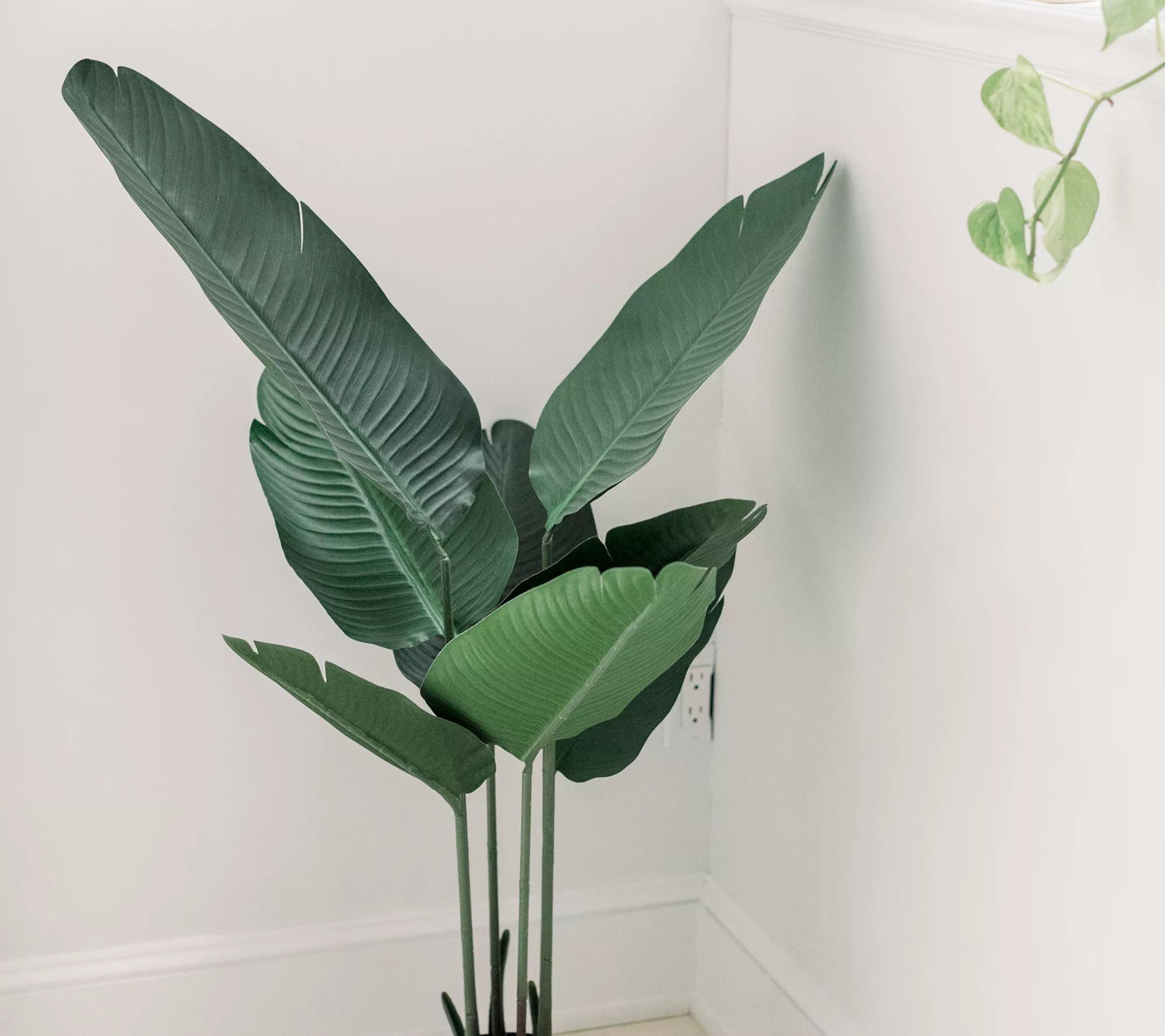 4' Faux Palm Leaf House Plant by Lauren McBride