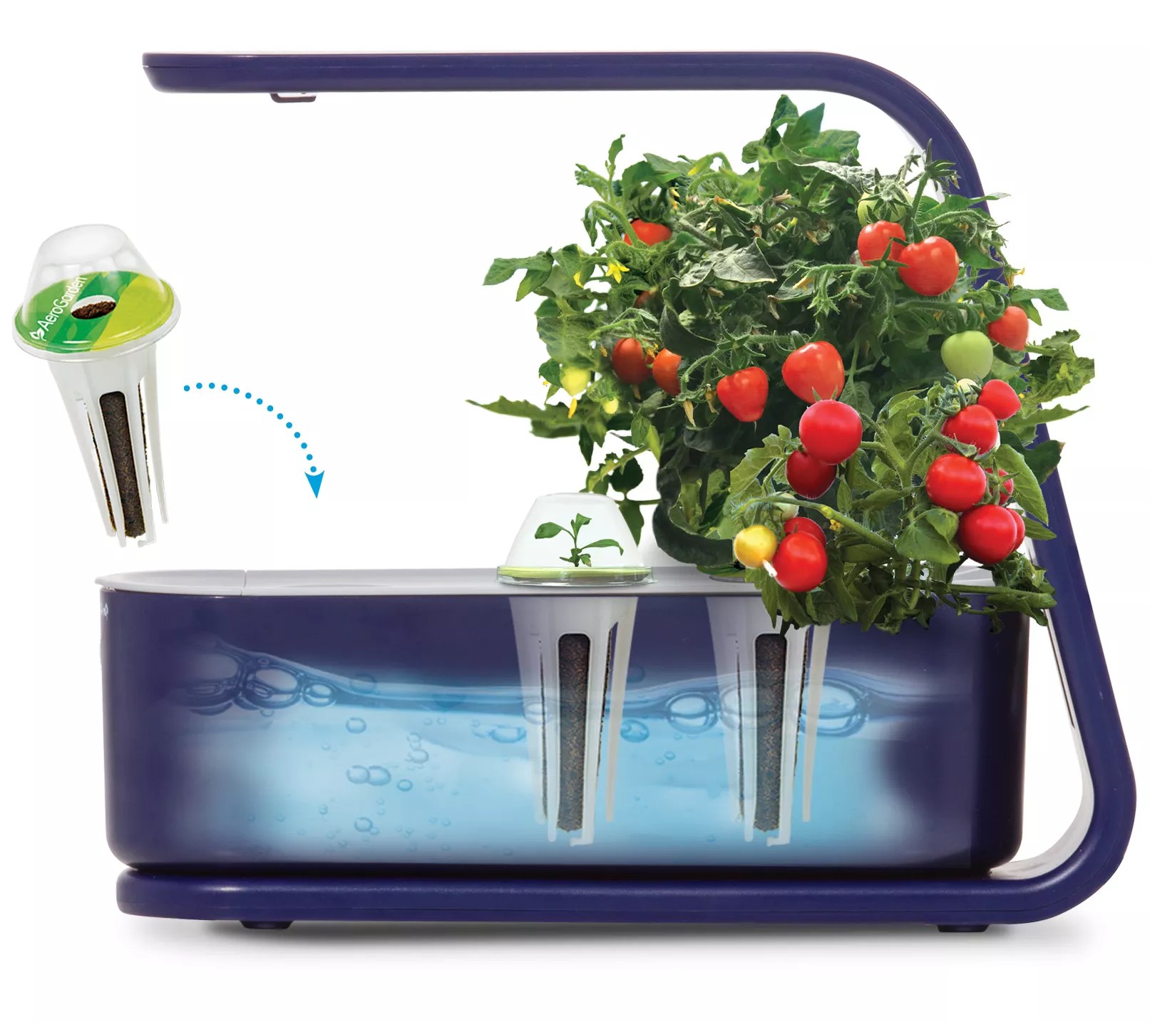 MiracleGro AeroGarden Sprout LED 3Pod Garden With Seed Kit