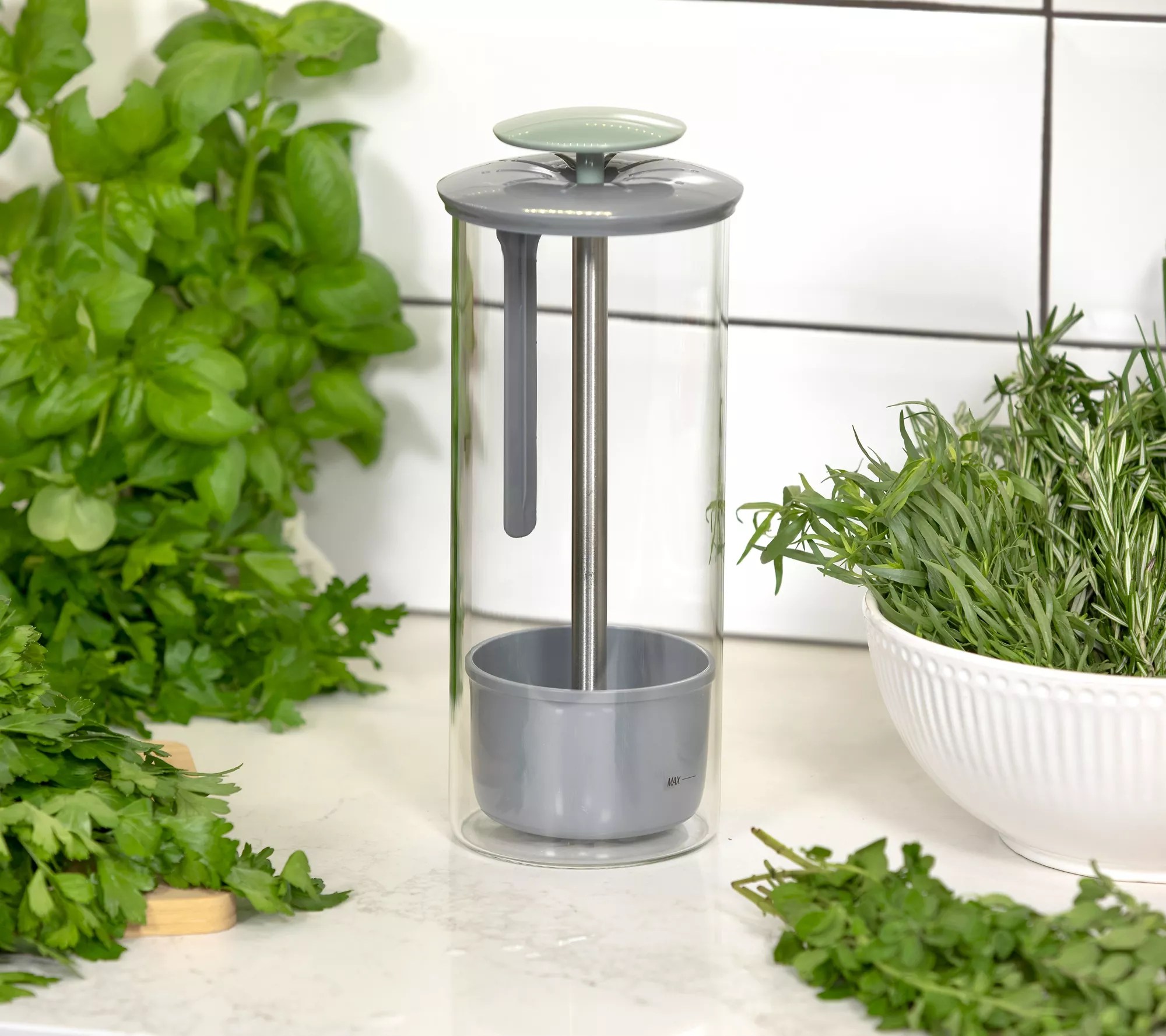 Ecolution Glass Storage Herb Keeper