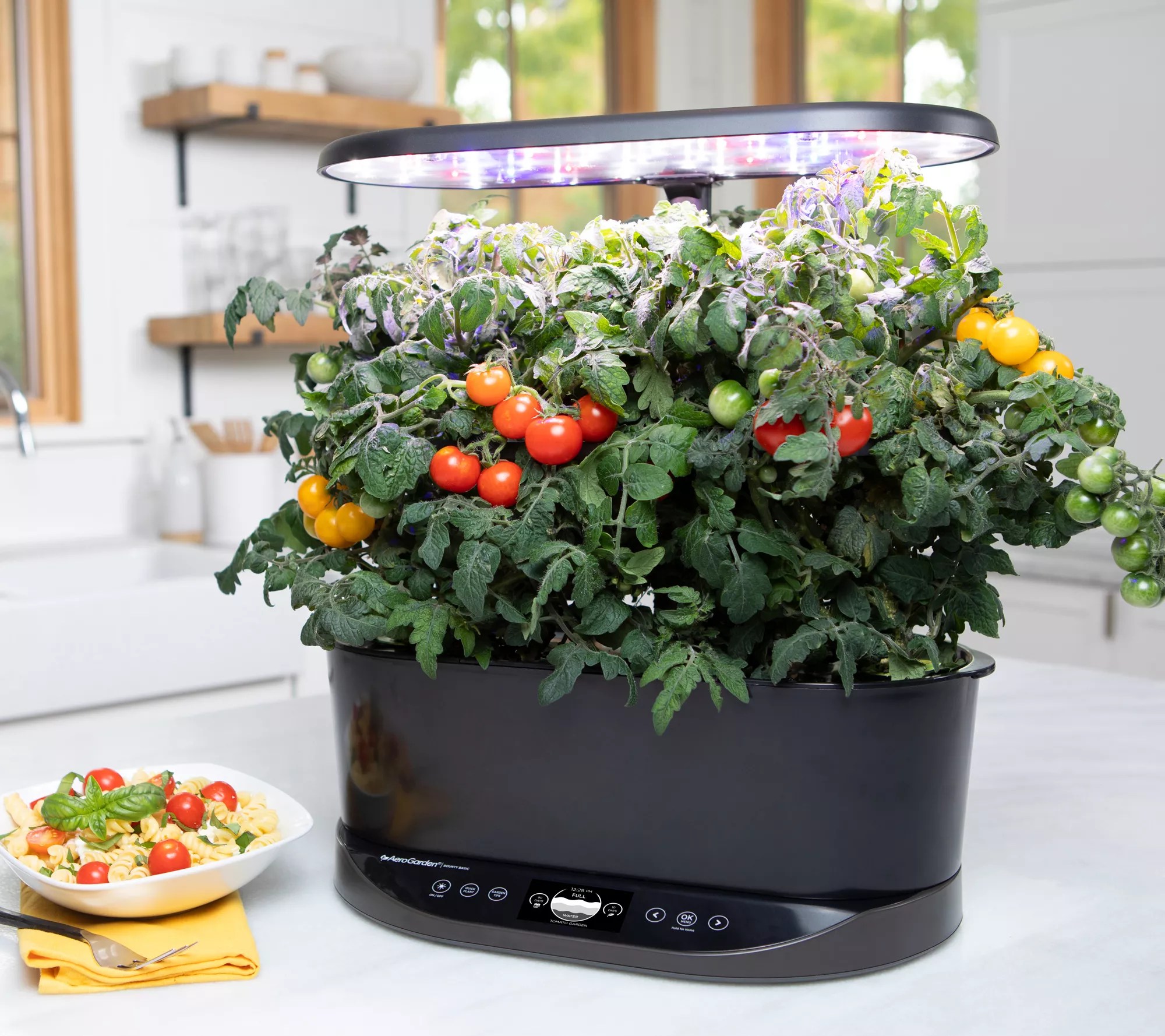 Aerogrow AeroGarden Bounty Basic w/ Gourmet Herb Seed Pod Kit