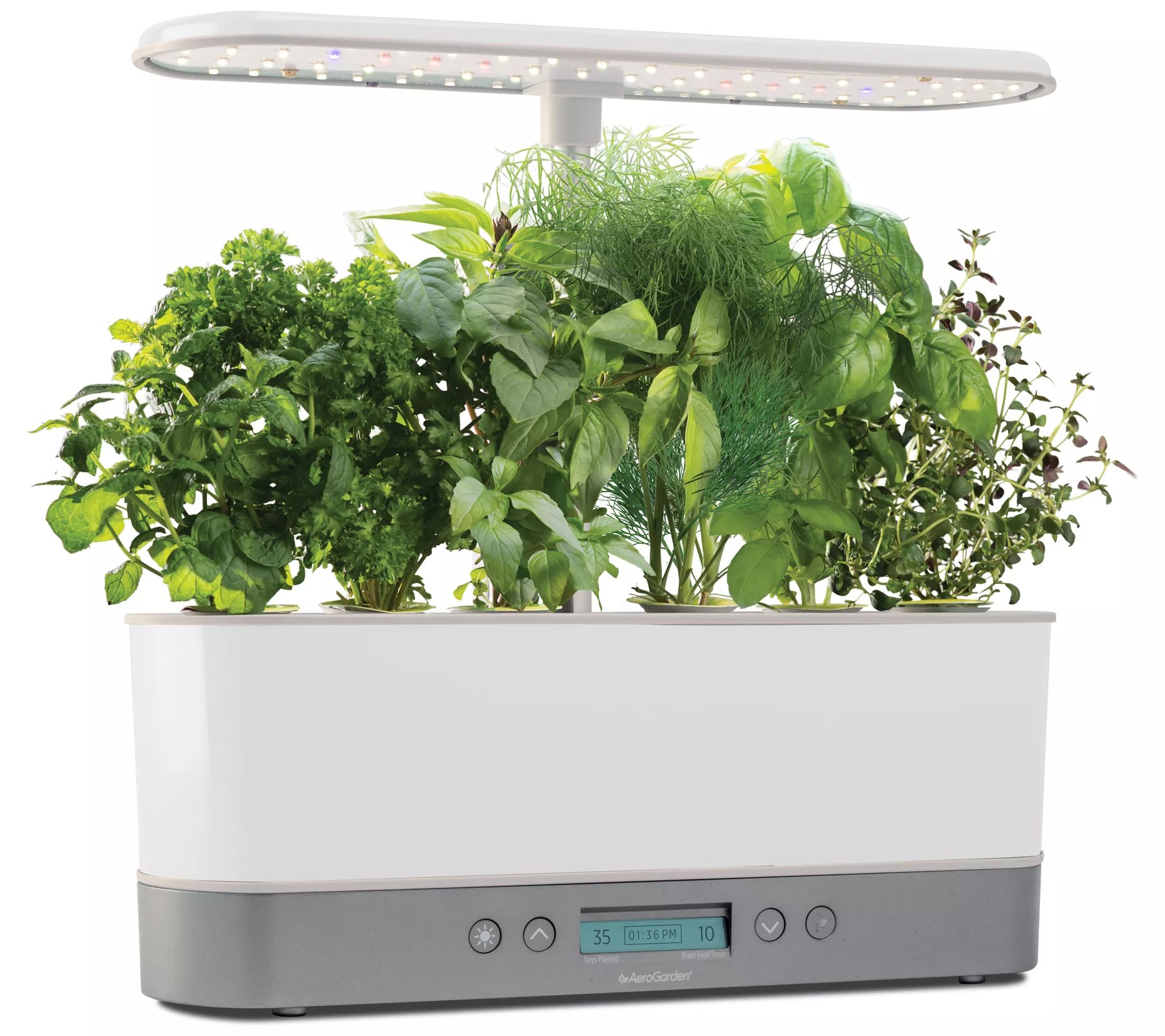AeroGarden Harvest Elite Slim with Gourmet HerbSeed Pod Kit