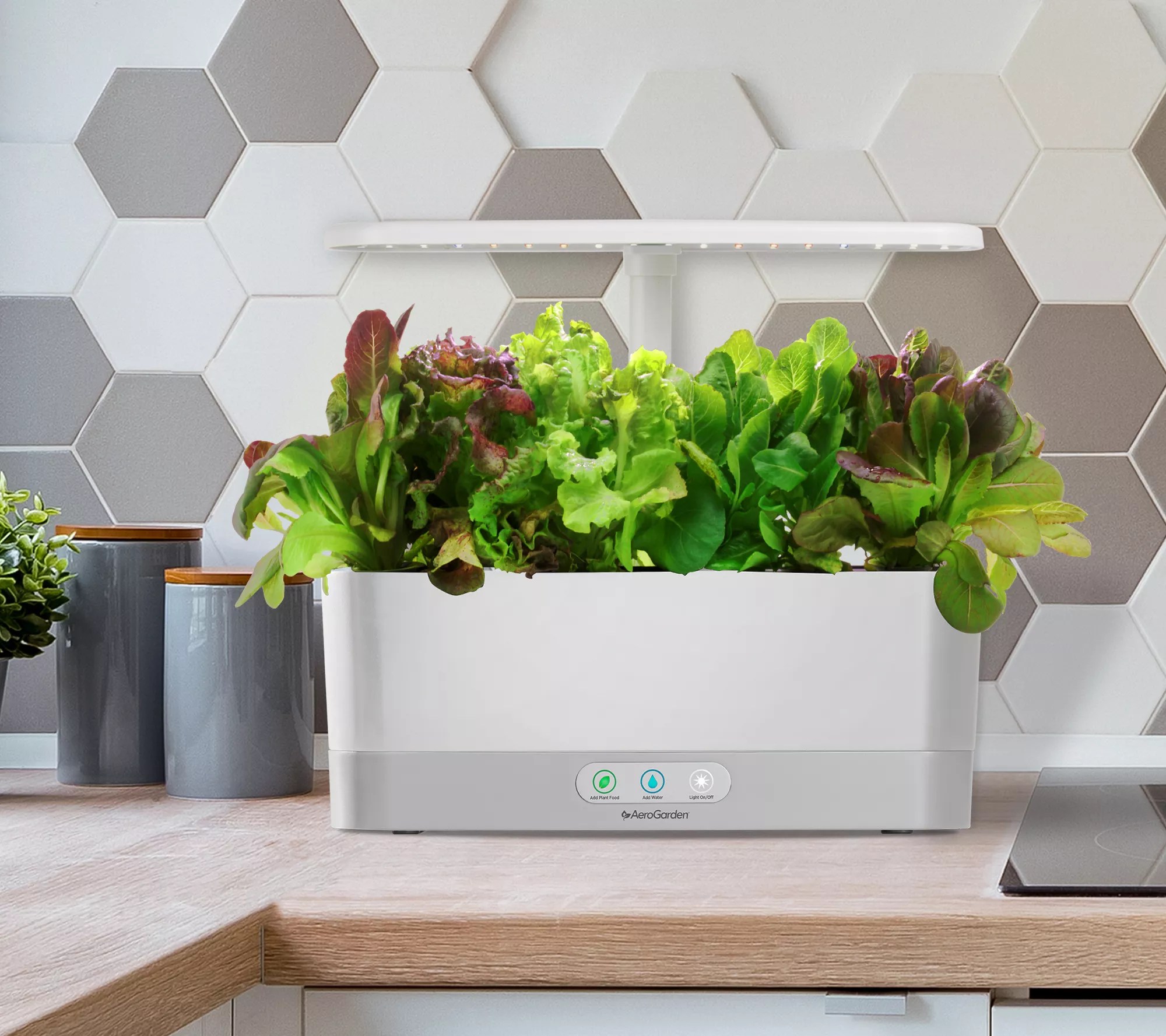 AeroGarden Harvest Elite Slim with Gourmet HerbSeed Pod Kit