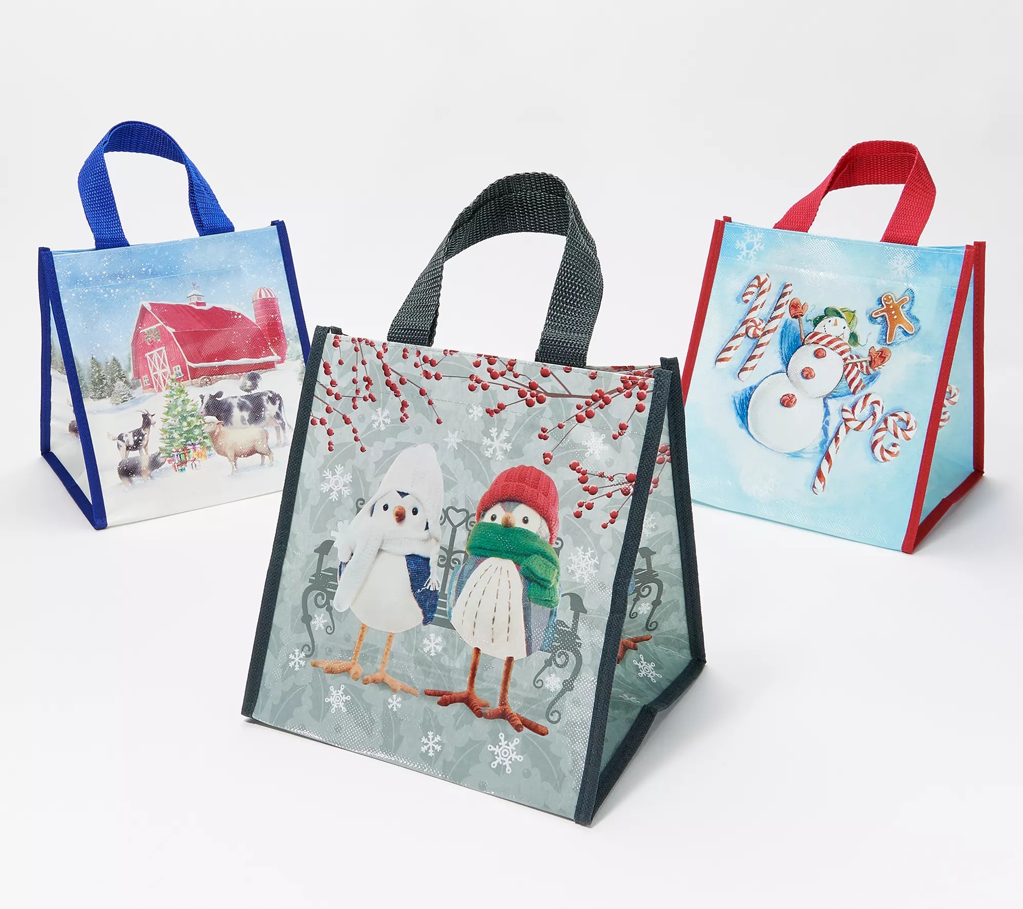 (QVC) Lock & Lock Set of 6 Canister or Rectangle Set w/ Holiday Bags