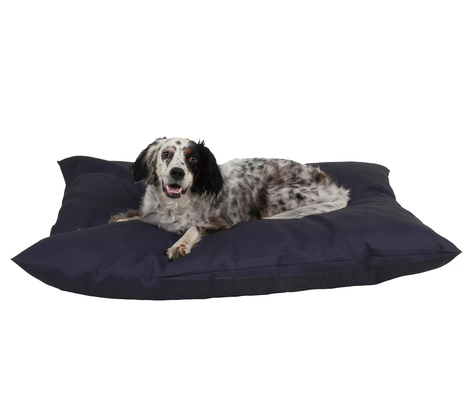 Carolina Pet Medium Solid Shebang Indoor/Outdoor Dog Bed