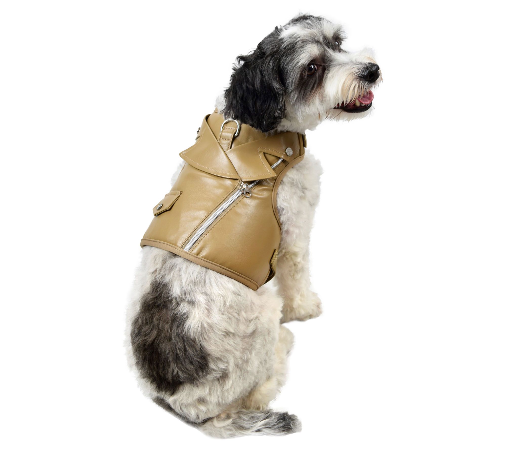 Martha Stewart Faux Leather Dog Harness Vest