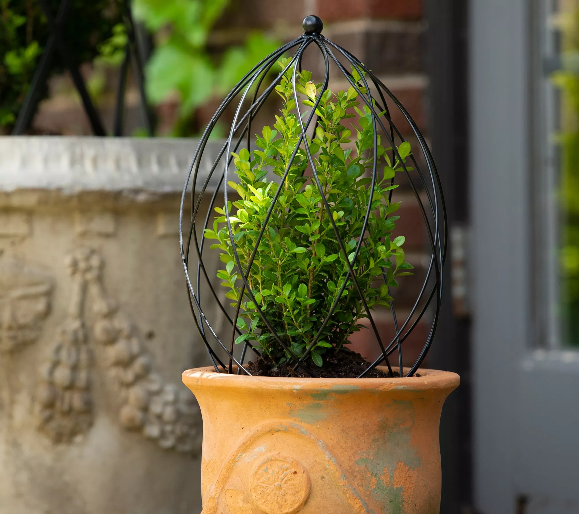 17" Egg Trellis with Stakes by Linda Vater