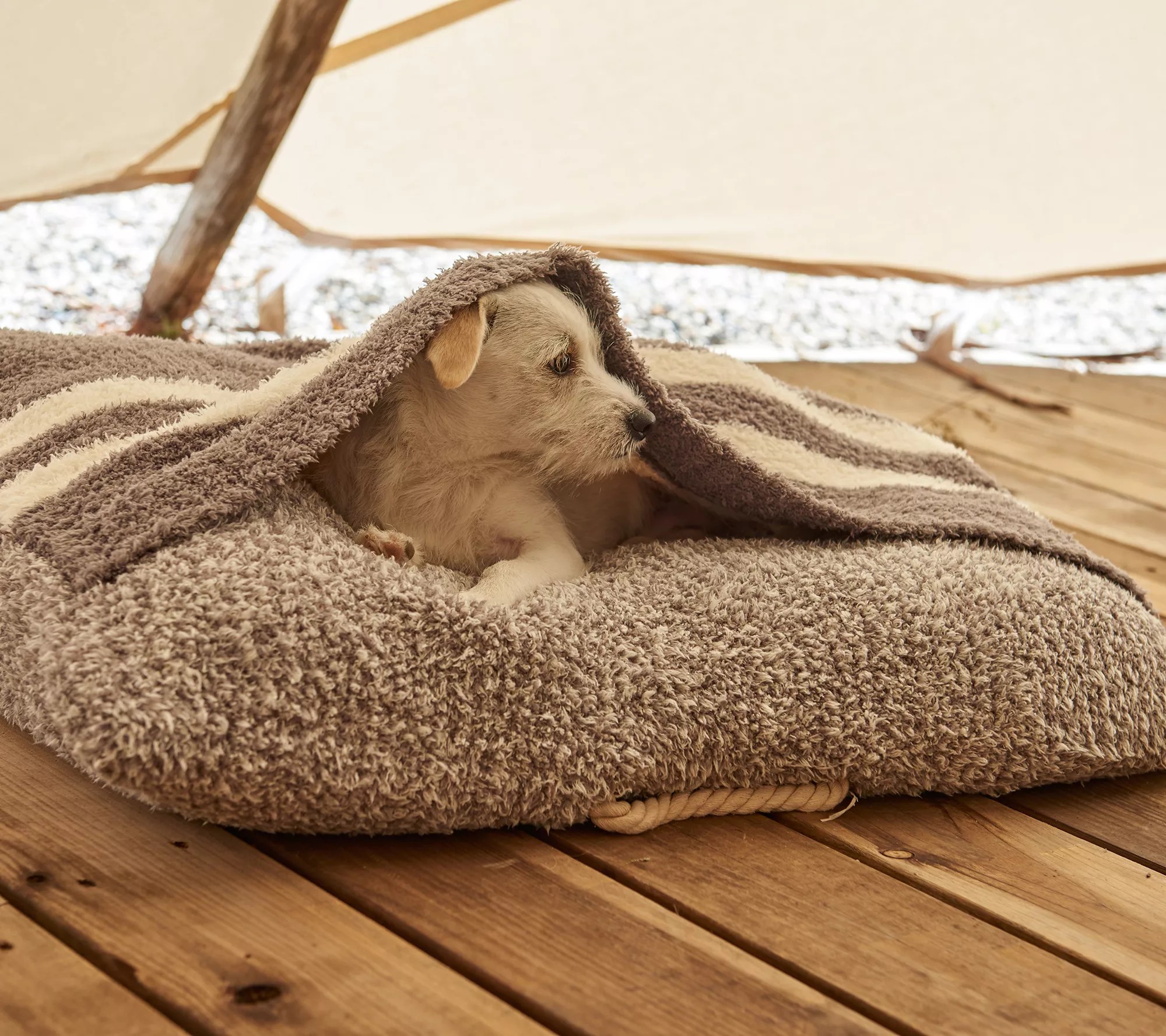 Barefoot Dreams CozyChic Cozy Pet Bed