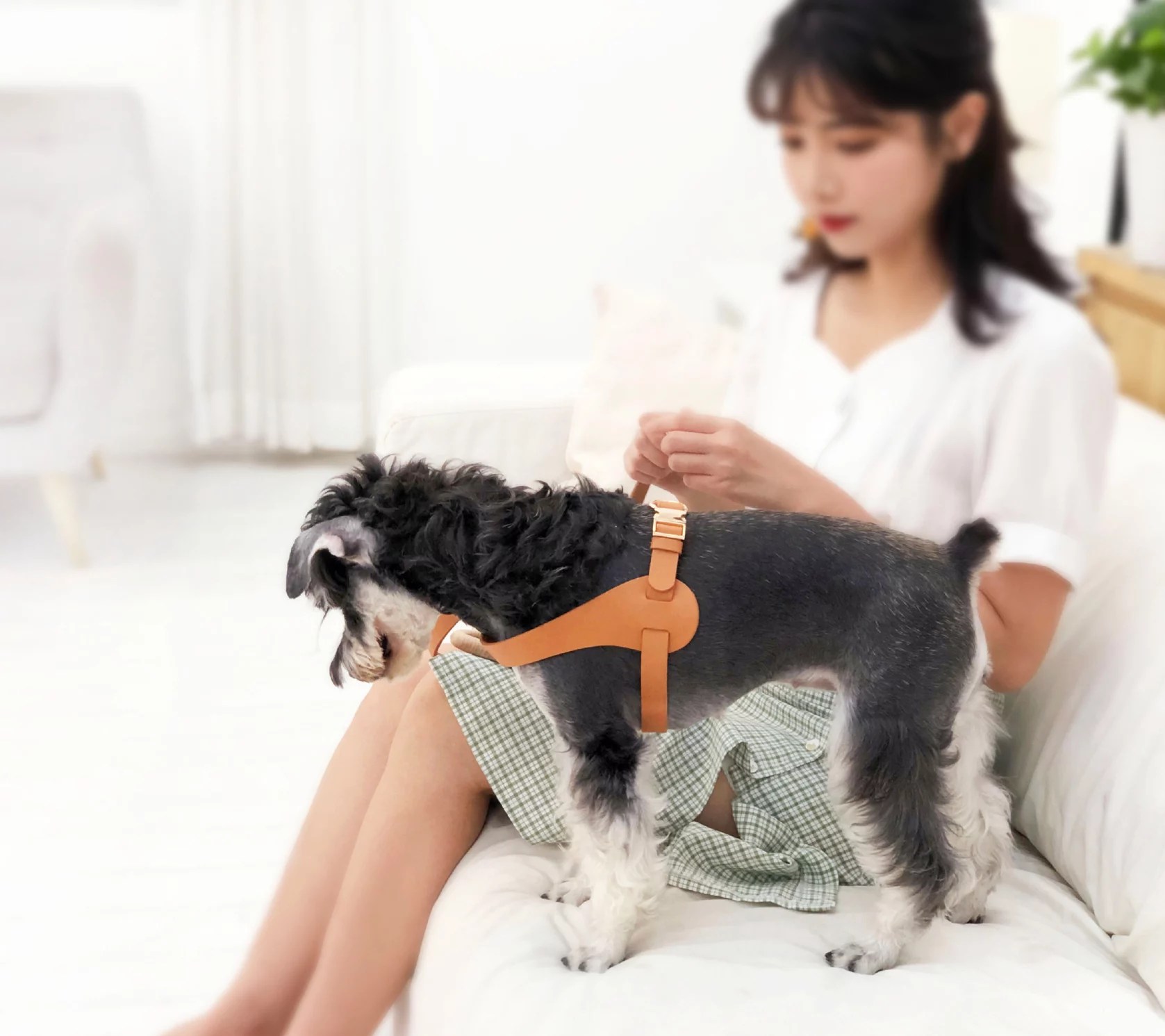 Pet Life 'EverCraft' Boutique Series Leather Dog Harness