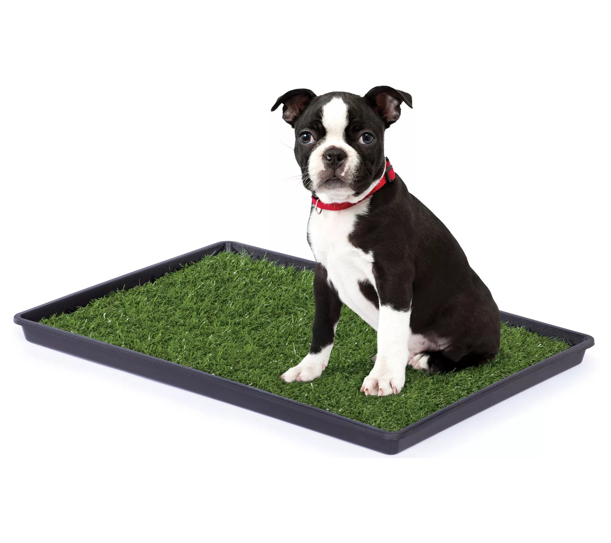 Prevue Pet Products Tinkle Turf Small