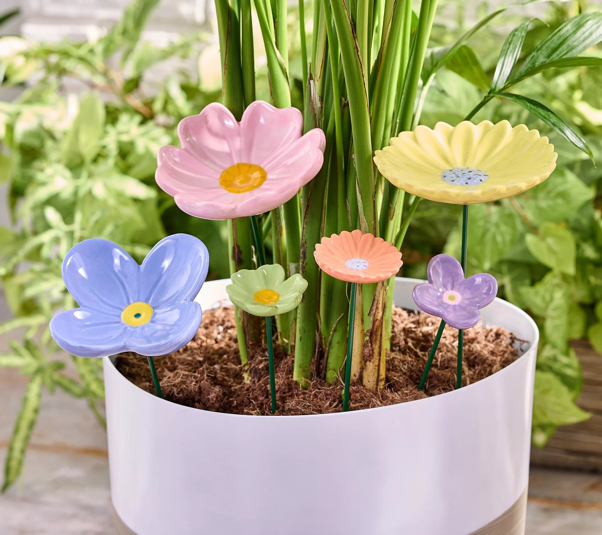 Mr. Sunshine Set of 6 Assorted Ceramic Flower Plant Picks