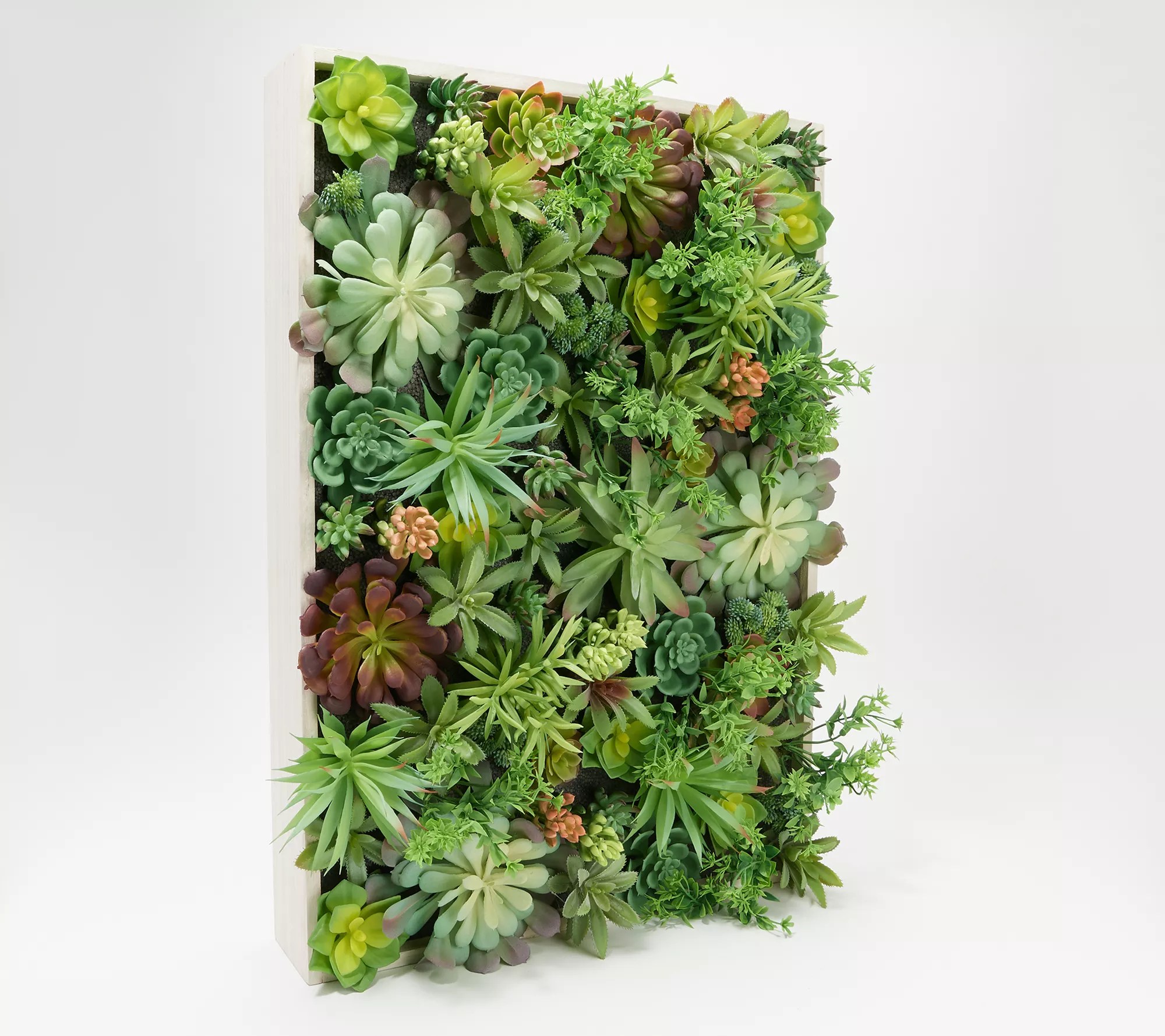 Wicker Park Indoor/Outdoor Faux Succulent Wall Decor in Wood Frame