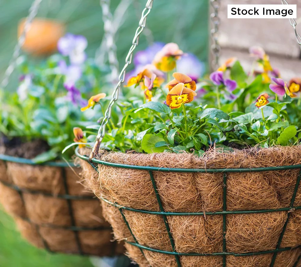 Roberta's Set of 2 Hanging Wire Baskets w/ Coco Liner & Chain