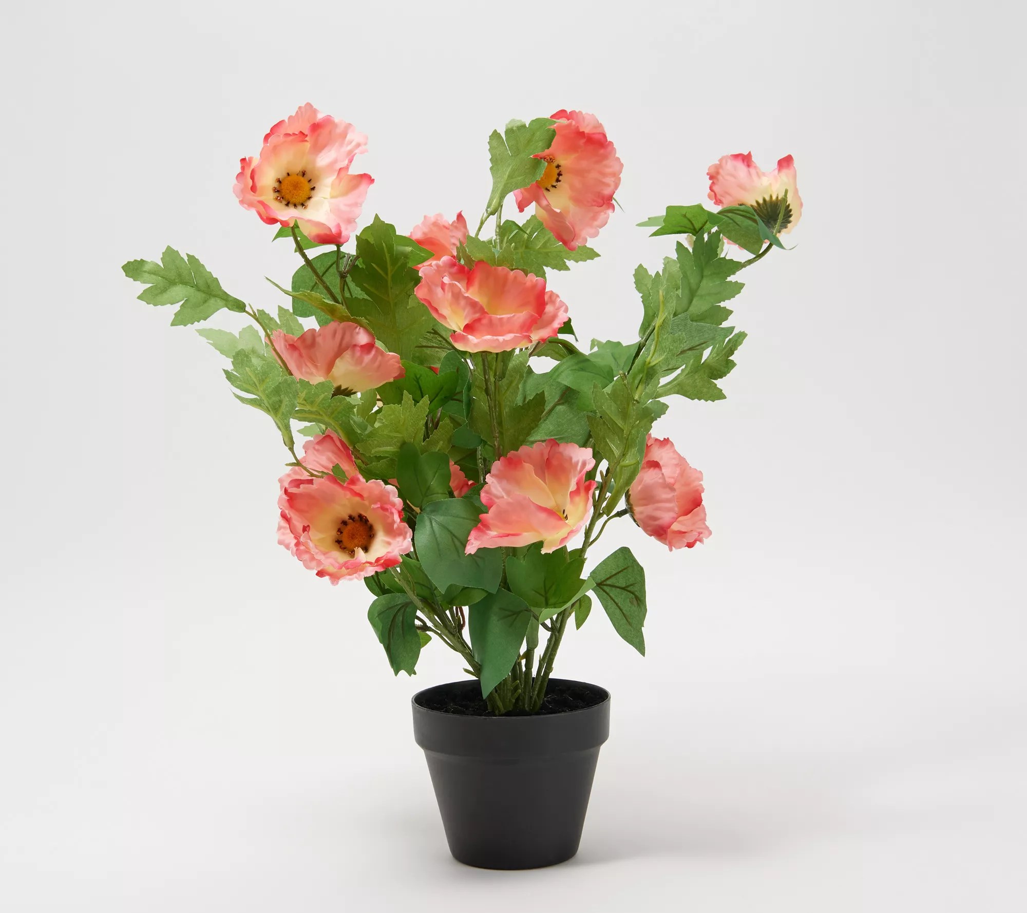 Wicker Park 22" Tall Faux Potted Poppy Plant