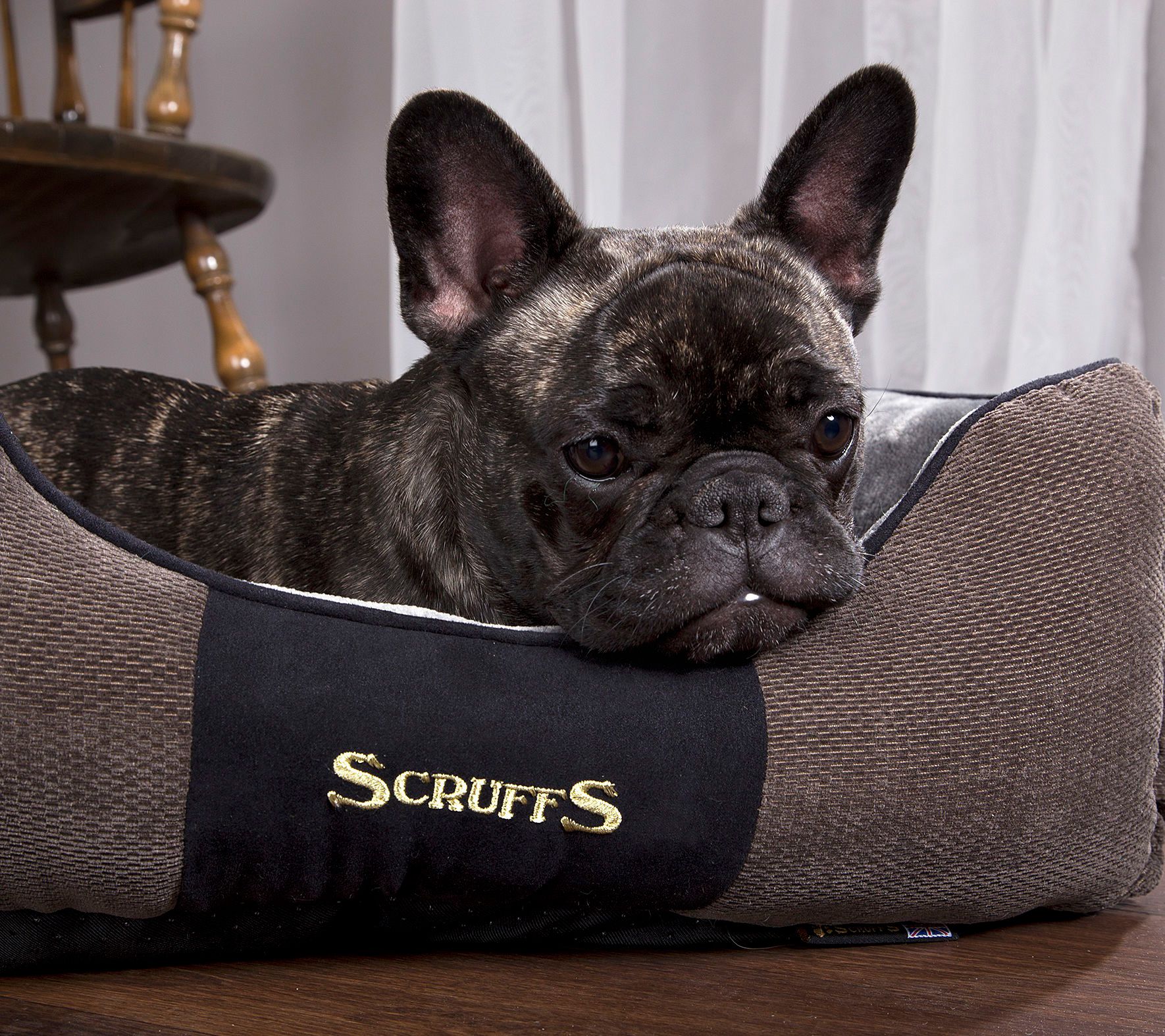 Scruffs Chester Medium Box Dog Bed