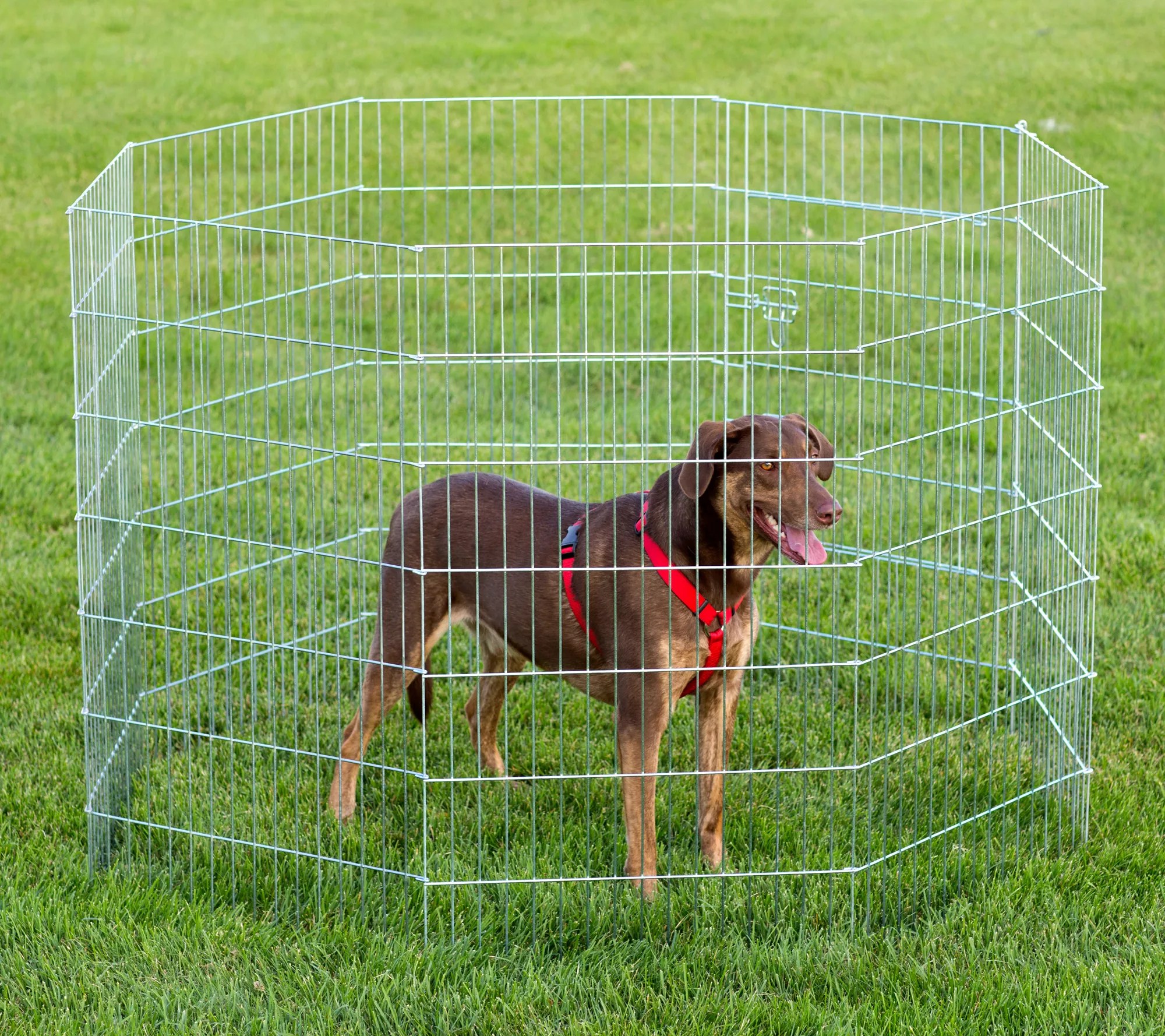 Prevue Pet Products Exercise Pen for Dogs