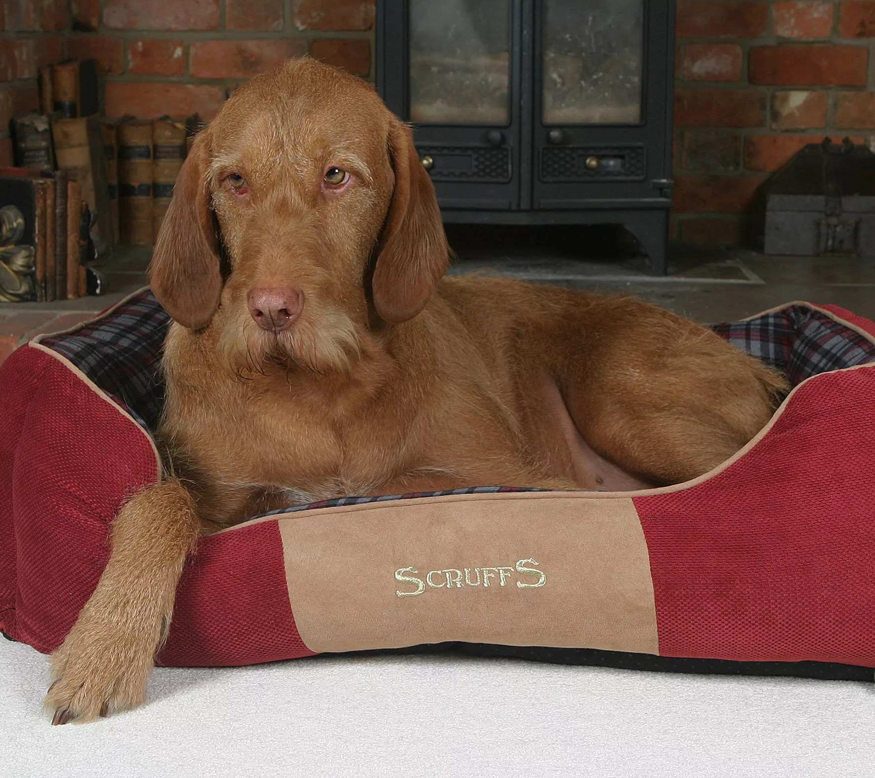 Scruffs Highland Large Box Dog Bed