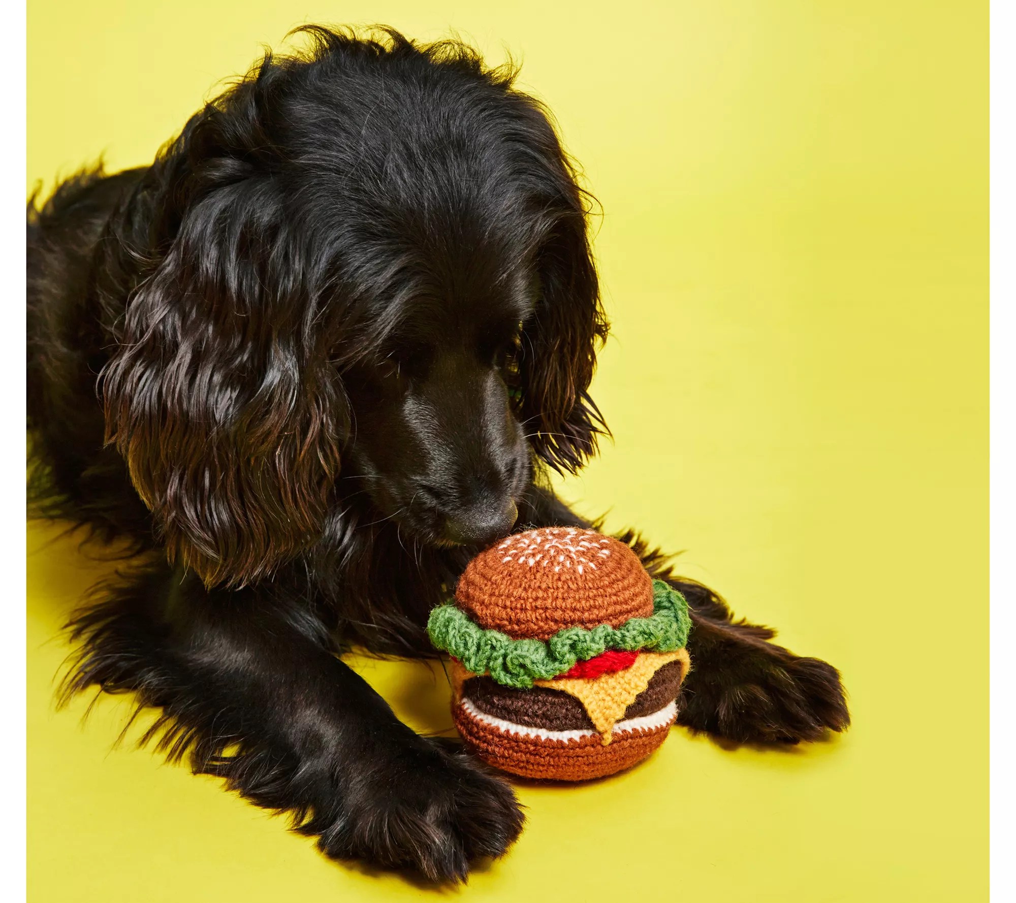 Ware of the Dog Tailgating Set of 3 Handknit Dog Toys
