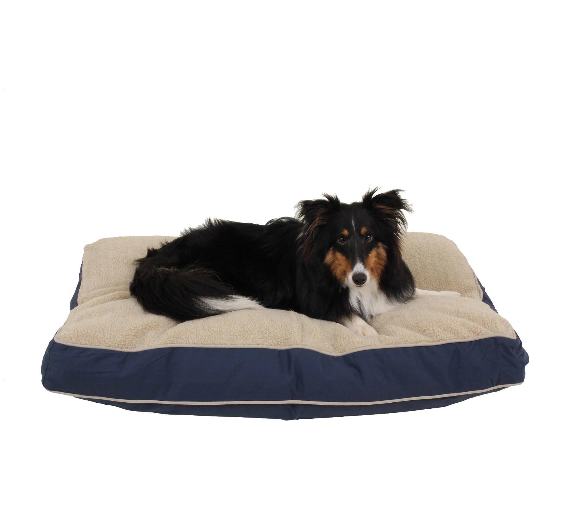 Carolina Pet Small Four Season Jamison Dog Bed