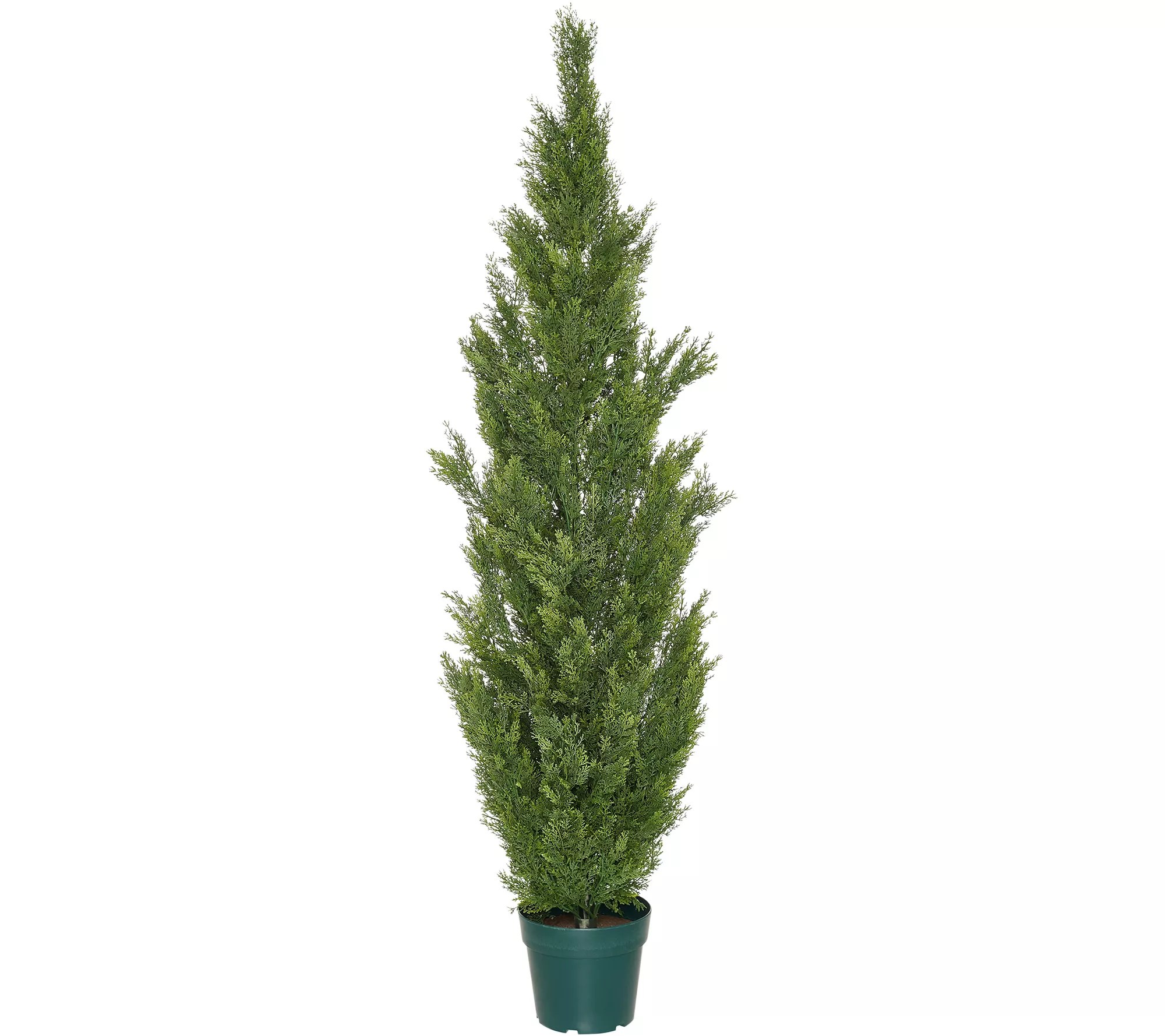 (QVC) Bethlehem Lights Set of 4 Battery Operated 8' Fairy Lights