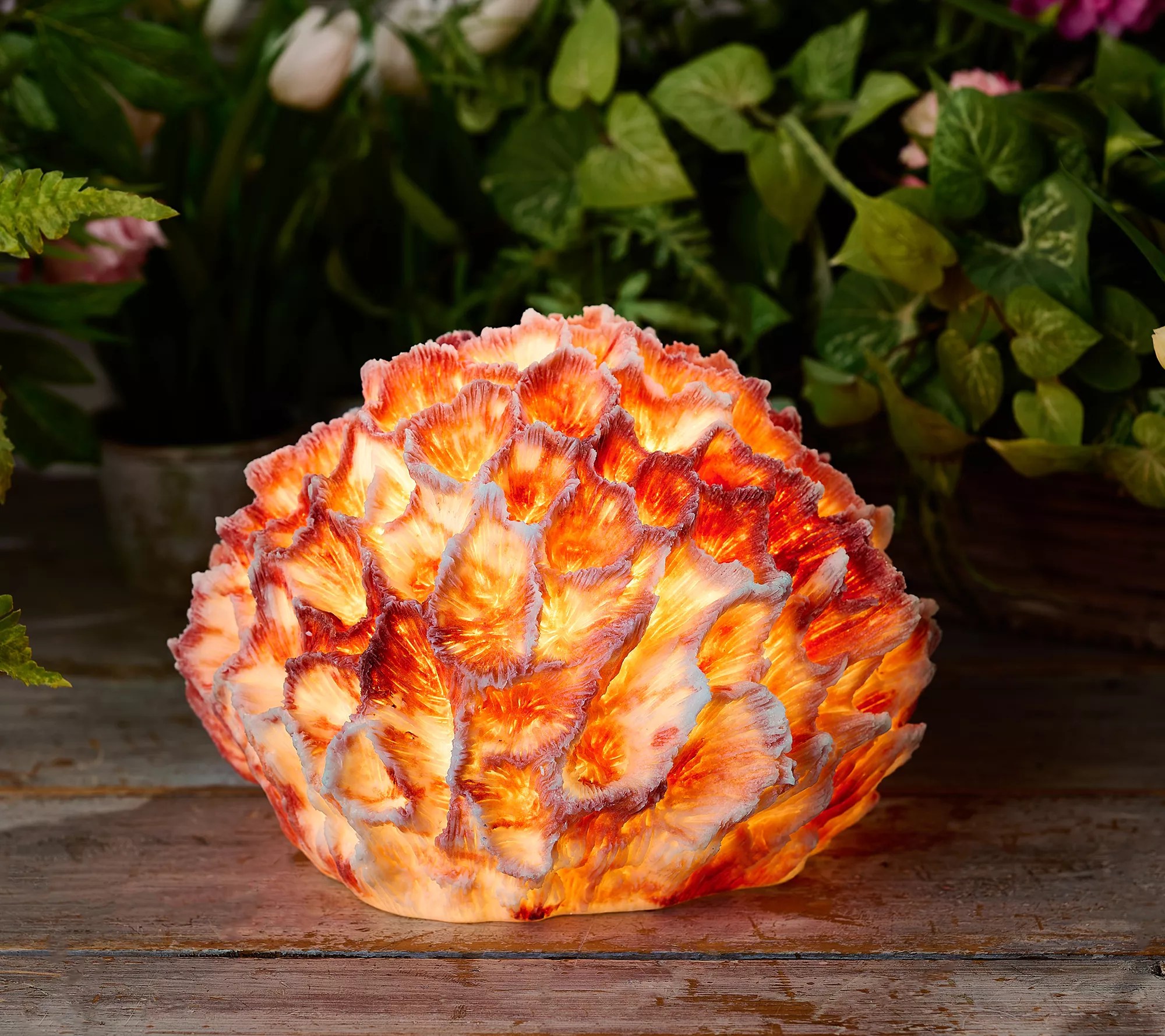 Barbara King 12" Illuminated Detailed Great Star Coral Sandstone