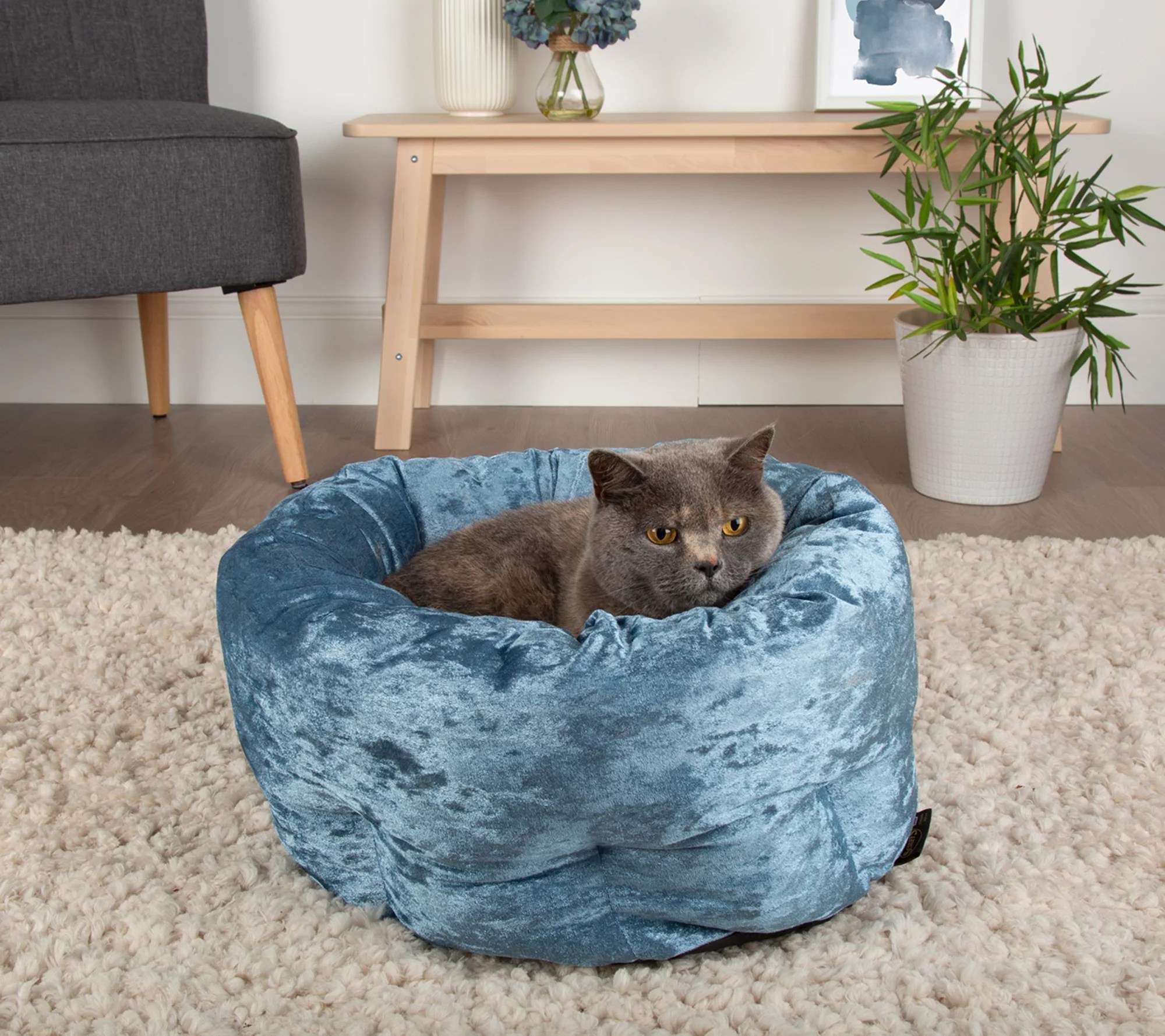 Scruffs Velvet Pet Bed