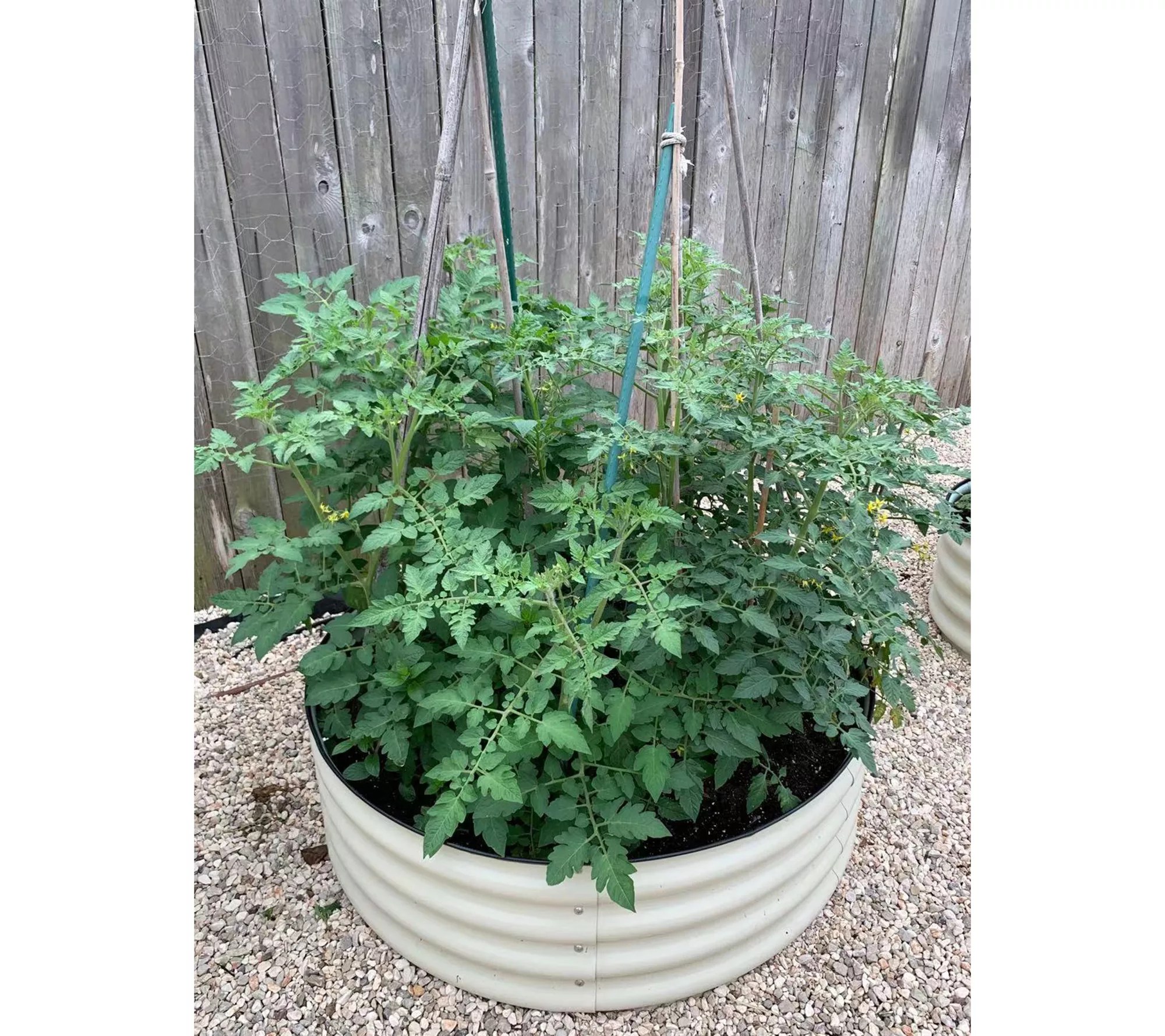 Vego 42" Modular Raised Garden Bed