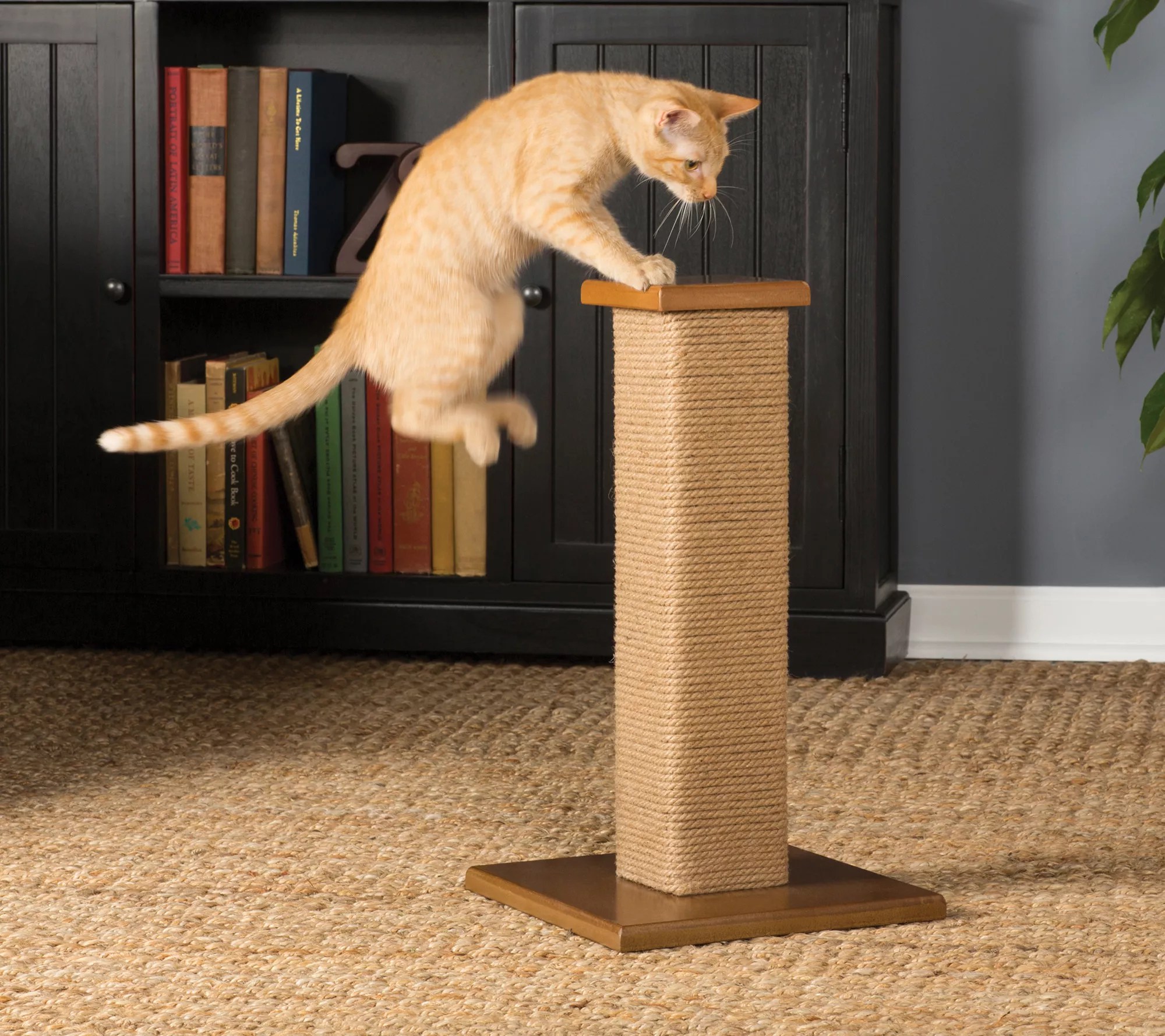 Prevue Pet Products Kitty Power Paws Short Square Post 7105