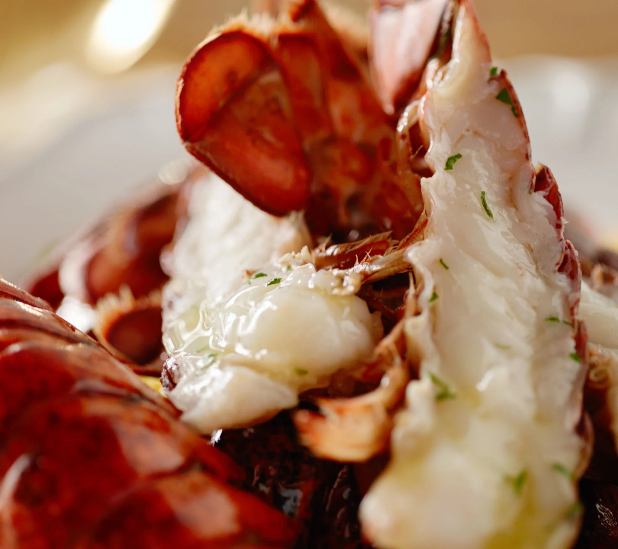 Greenhead Lobster (14) 45 oz. Maine Lobster Tails AutoDelivery