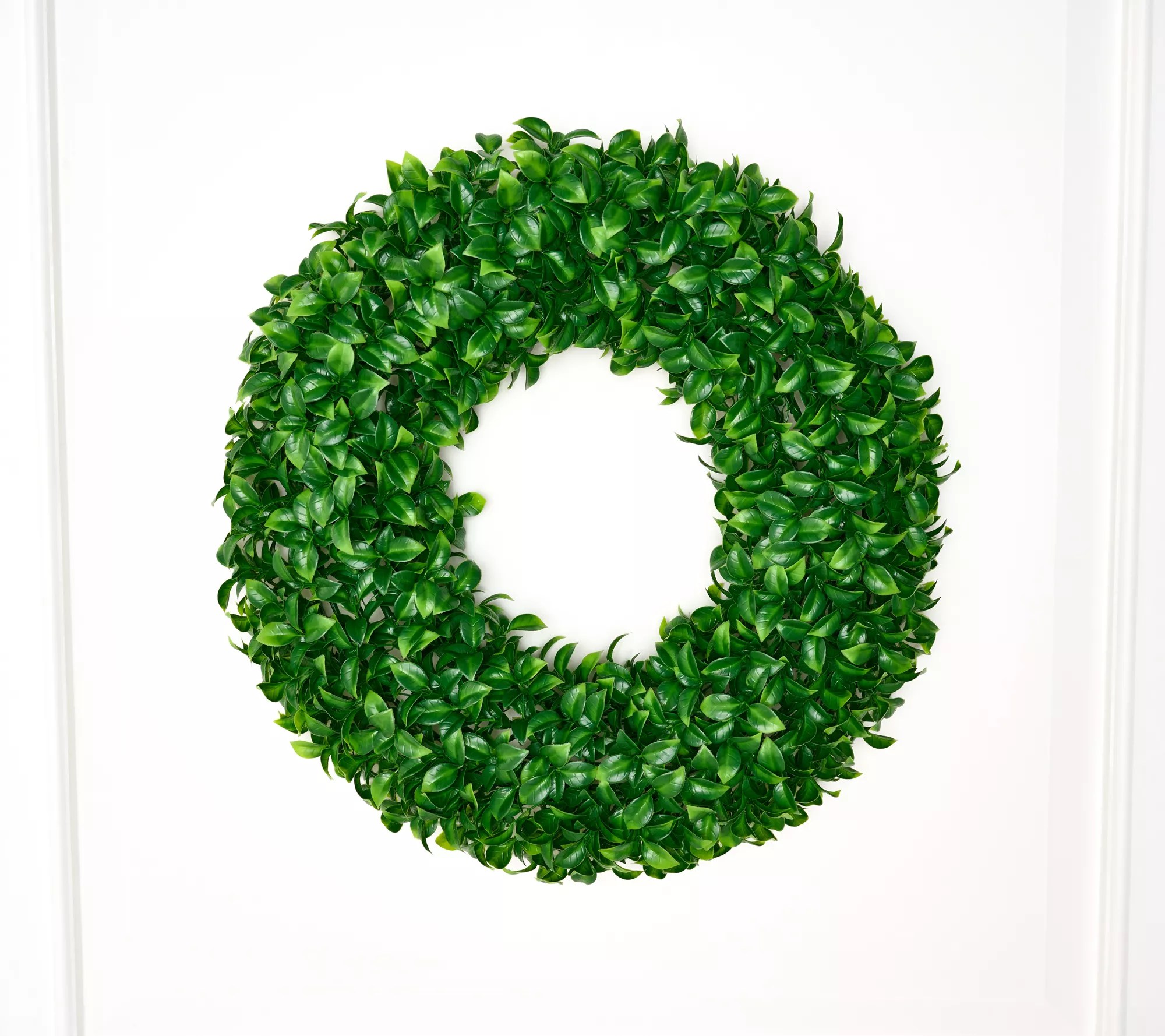 Wicker Park 22" Faux Ficus Wreath