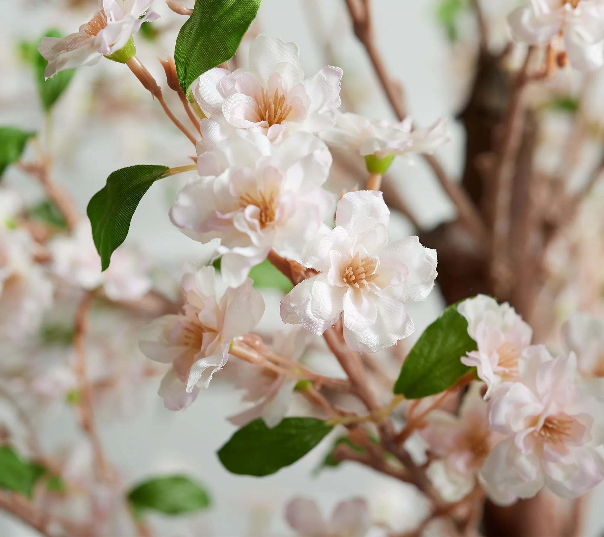 Wicker Park Indoor/Outdoor 5' Faux Cherry Blossom Sapling Tree