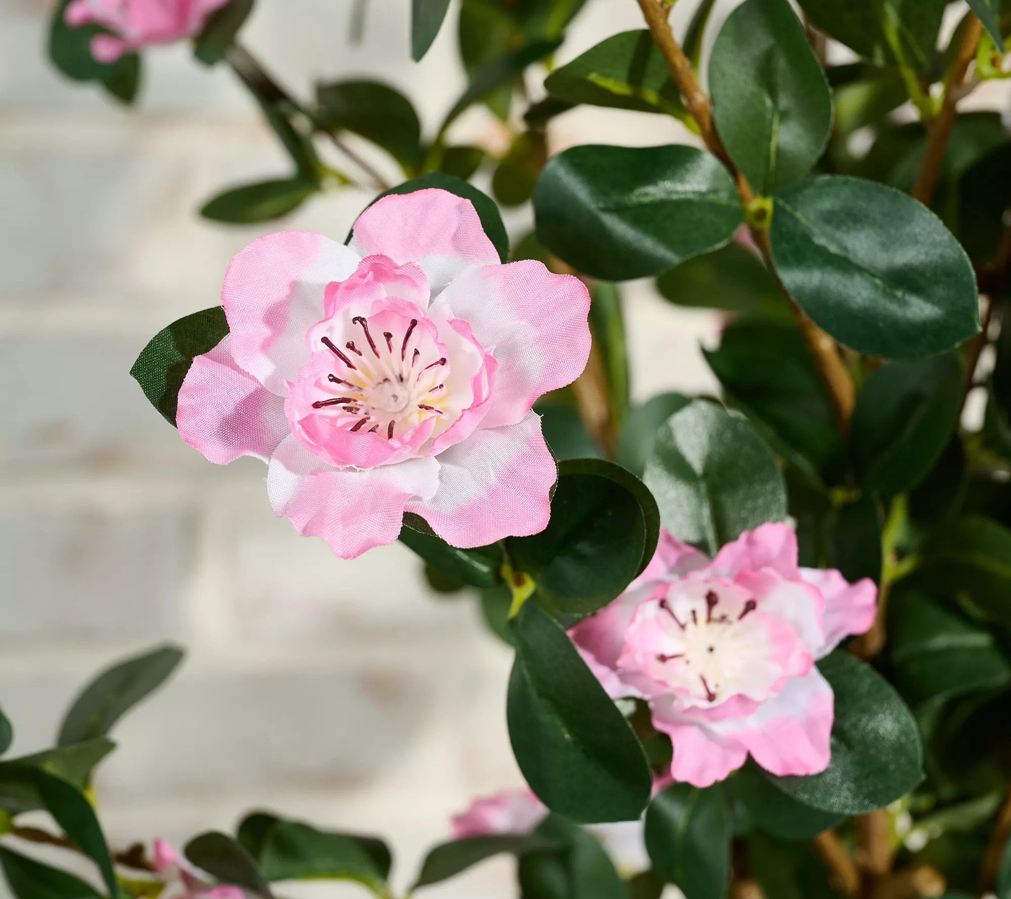 Wicker Park 3' Faux Indoor/Outdoor Flowering Tree