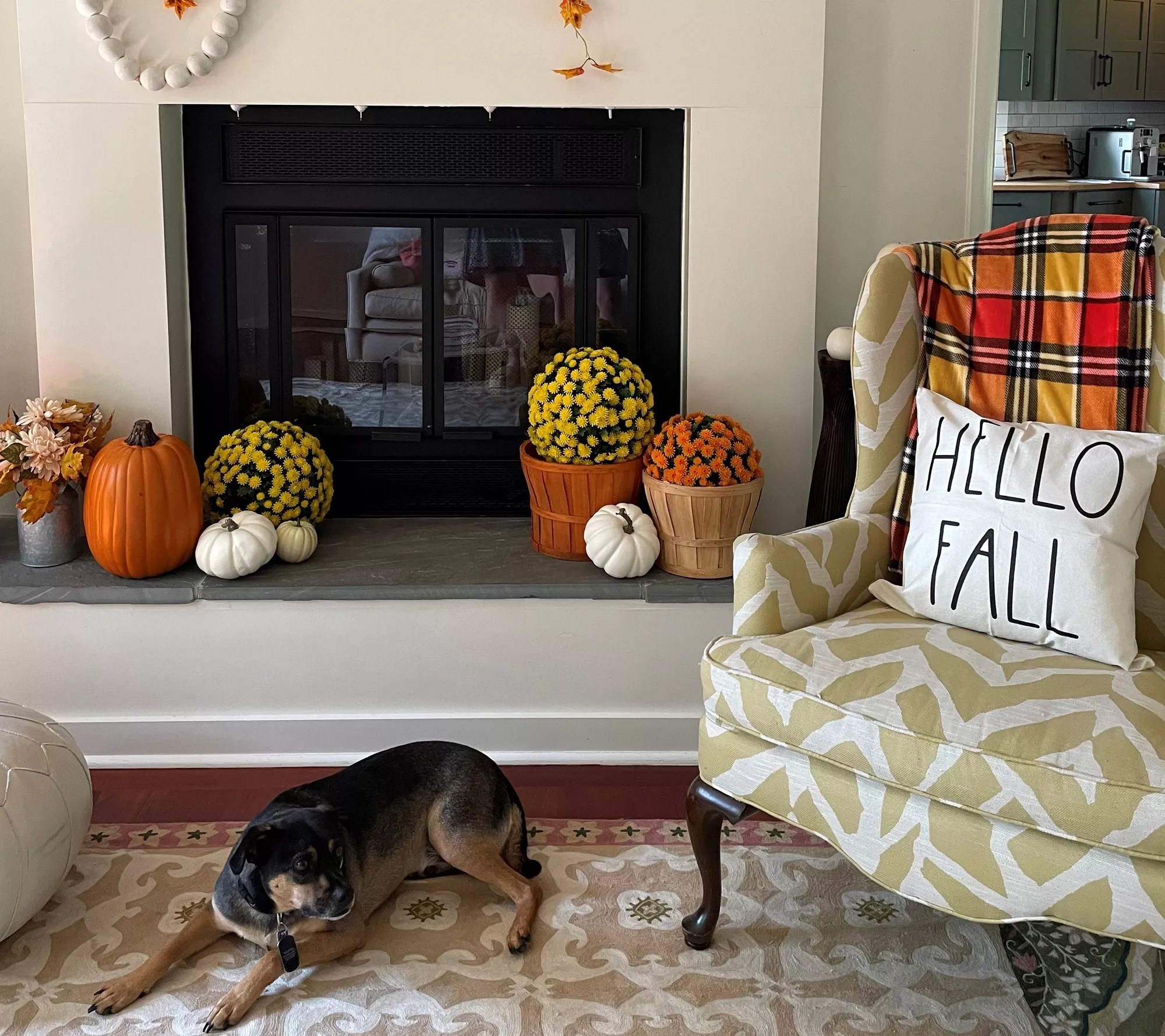 Wicker Park Set of (2) 12" Faux Mum Indoor/Outdoor Garden Spheres