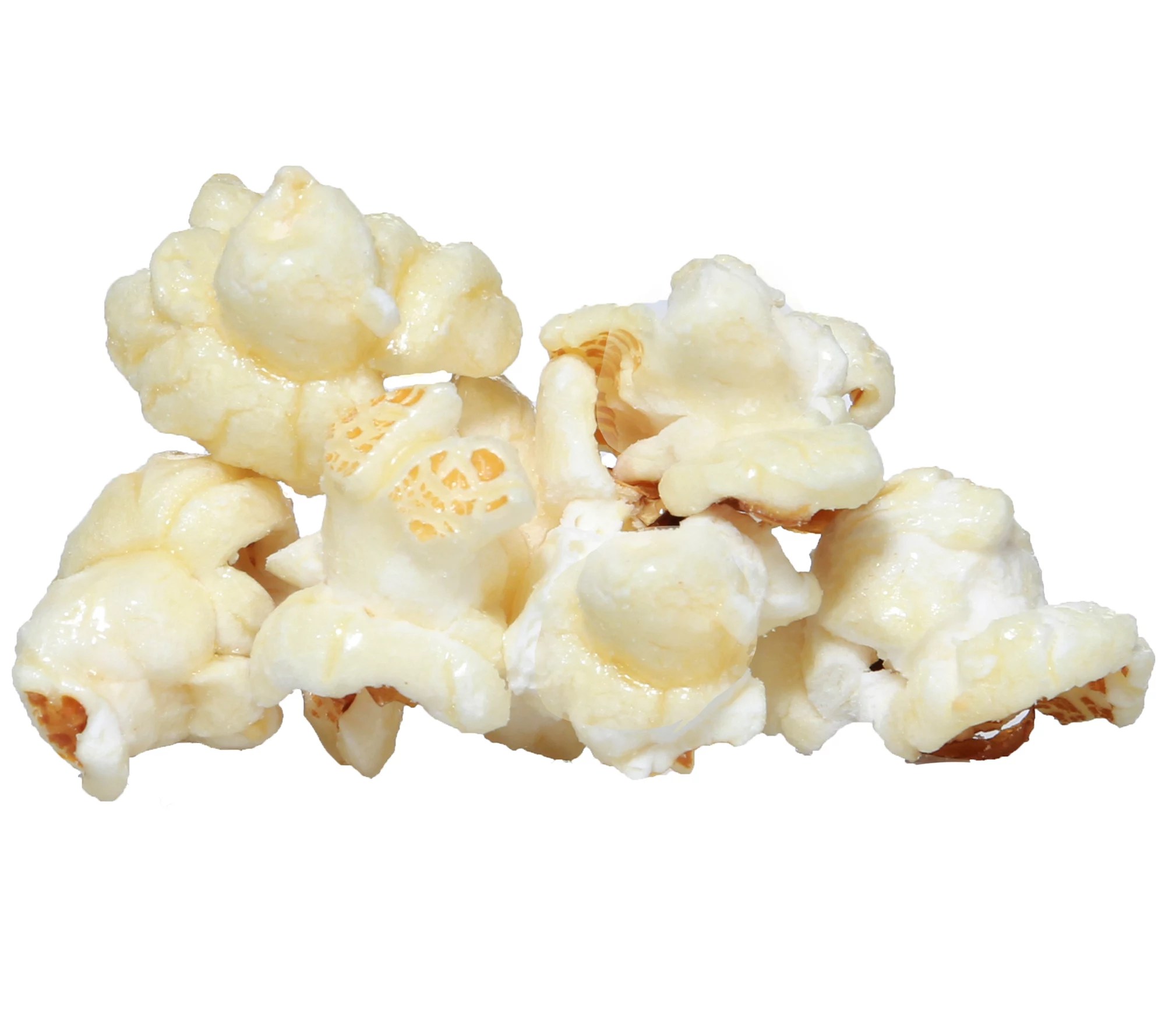 Gary Poppins (24) Kettle Corn Poprcorn Single Serve Bags