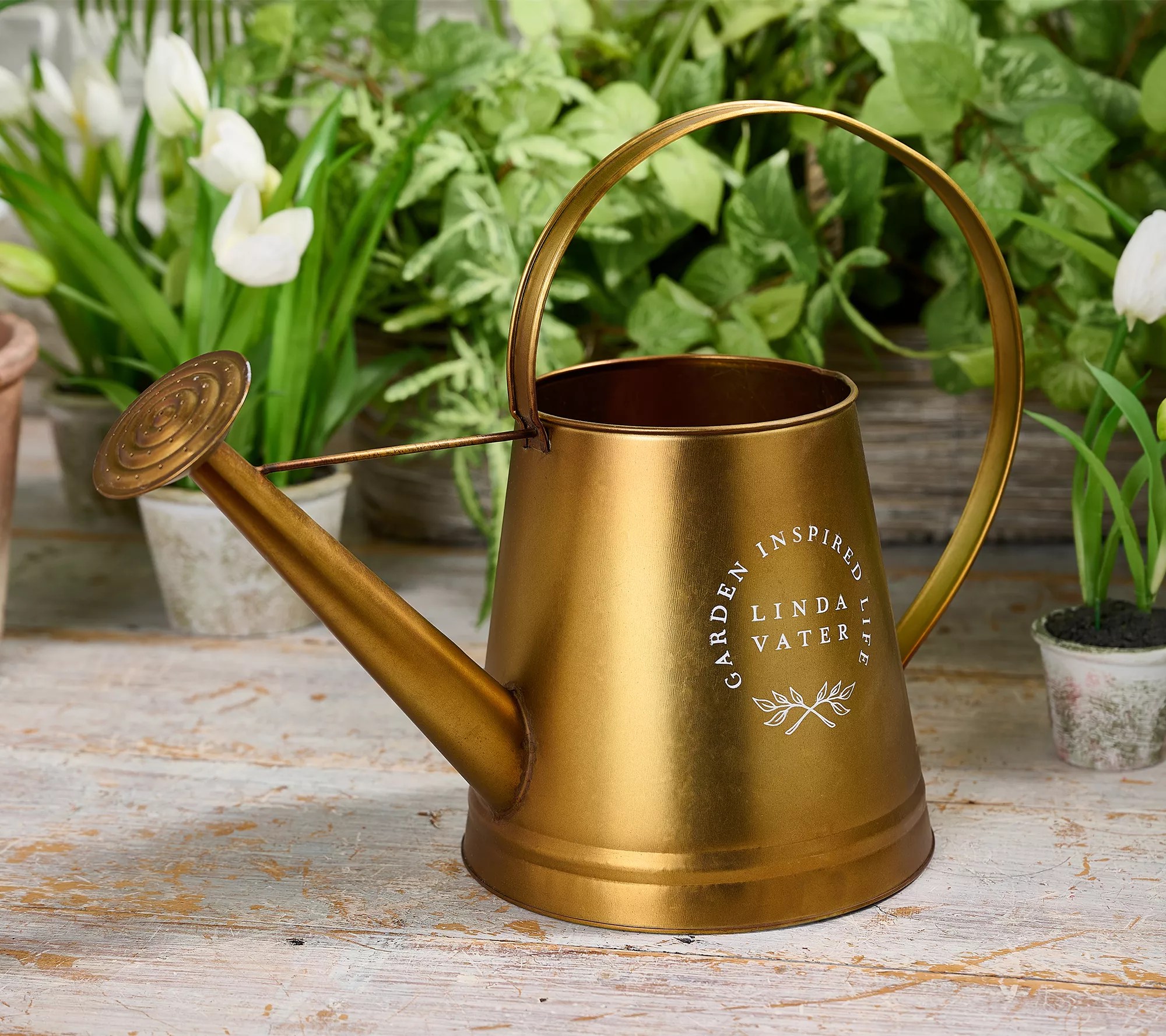 Elegant Metal Garden Watering Can by Linda Vater