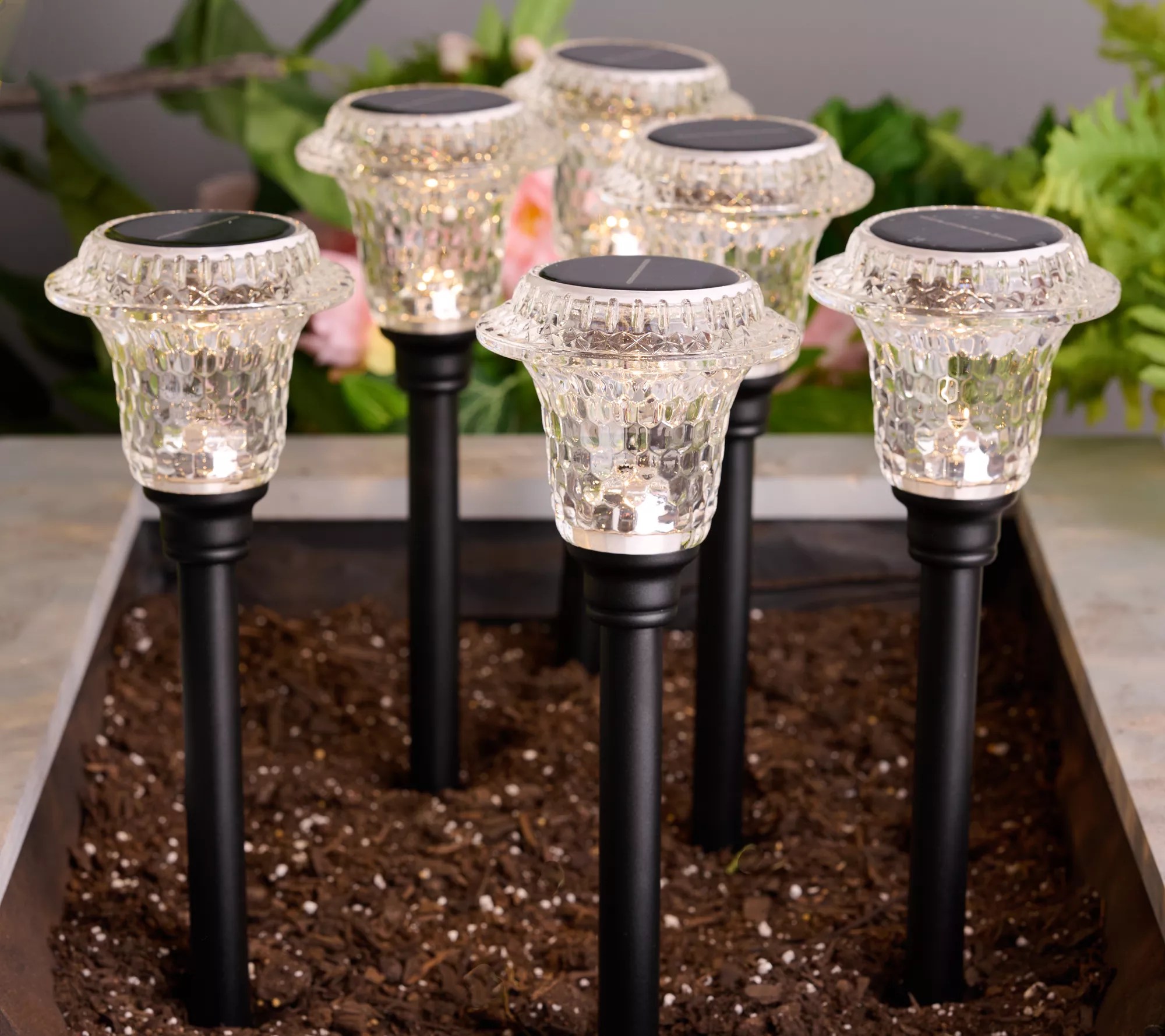 Garden Reflections S/6 Diamond Cut Solar Pathway Lights