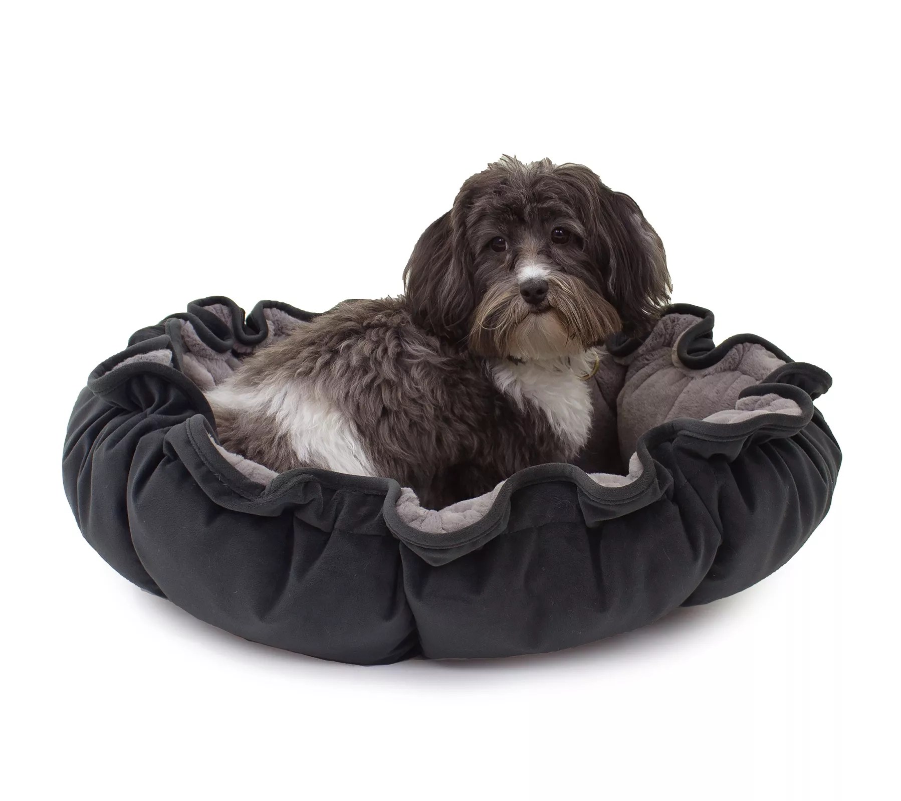 Carolina Pet Lily Pad Pet Bed