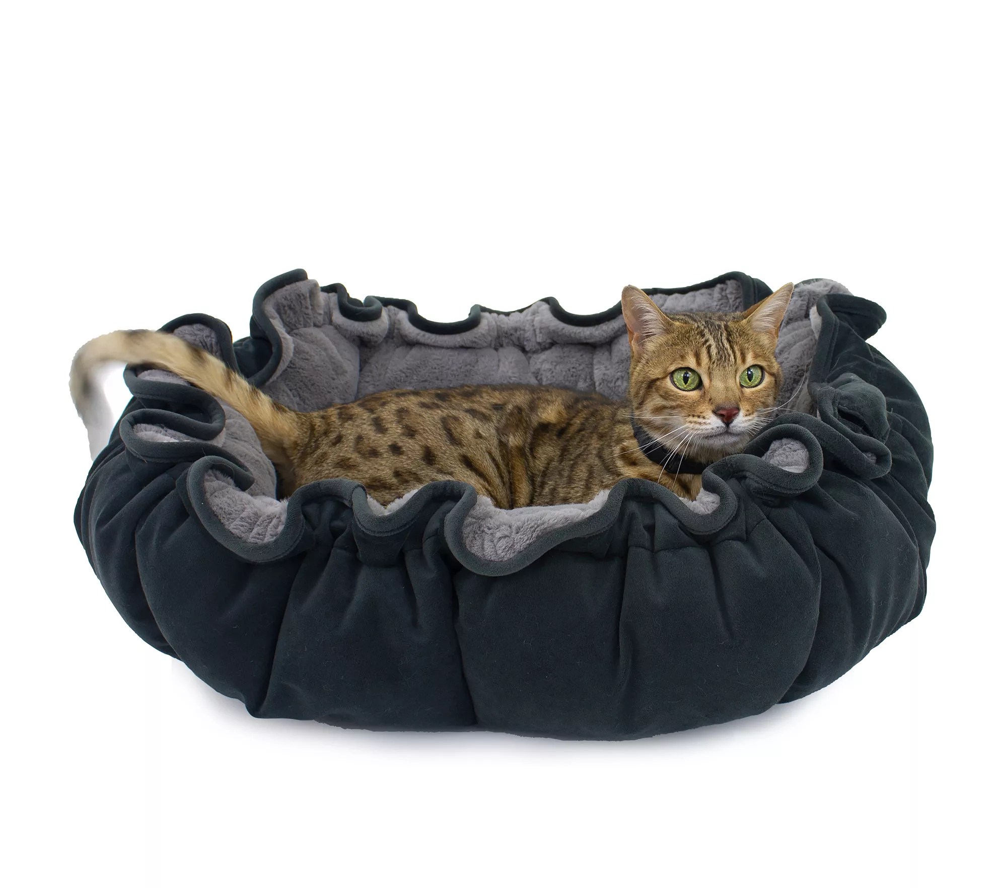 Carolina Pet Lily Pad Pet Bed