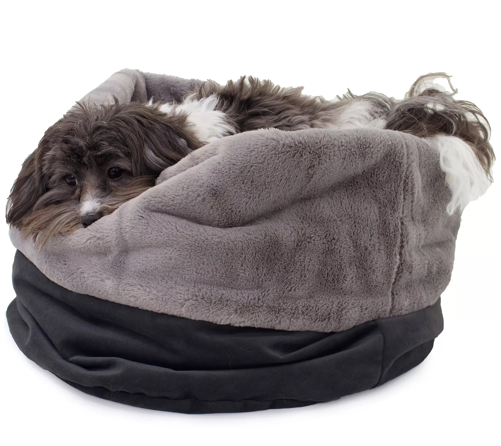 Carolina Pet Transformer Pet Bed