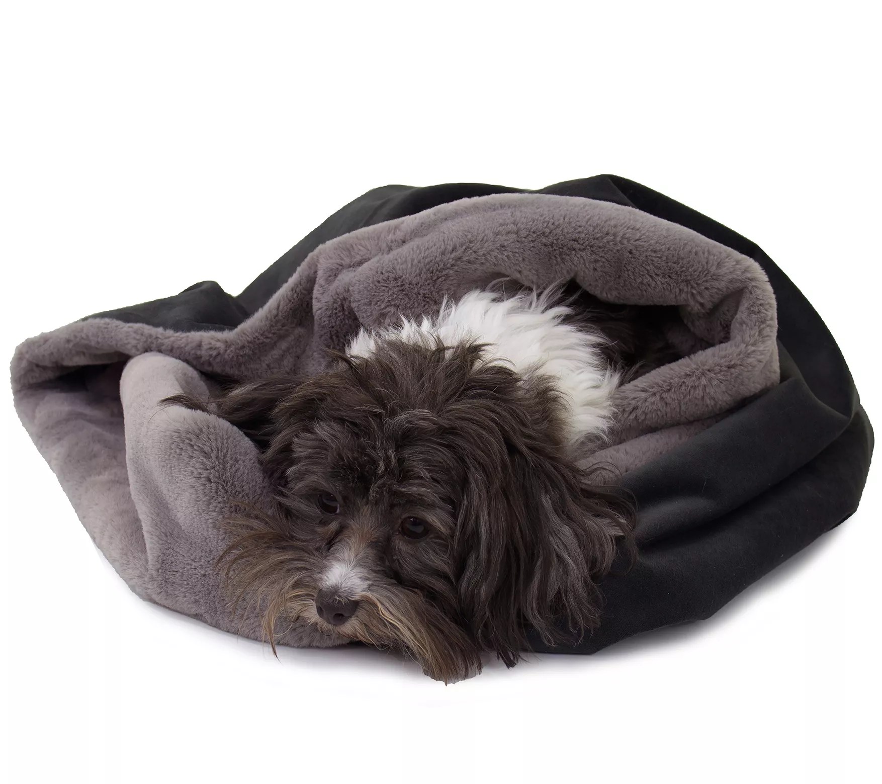 Carolina Pet Transformer Pet Bed