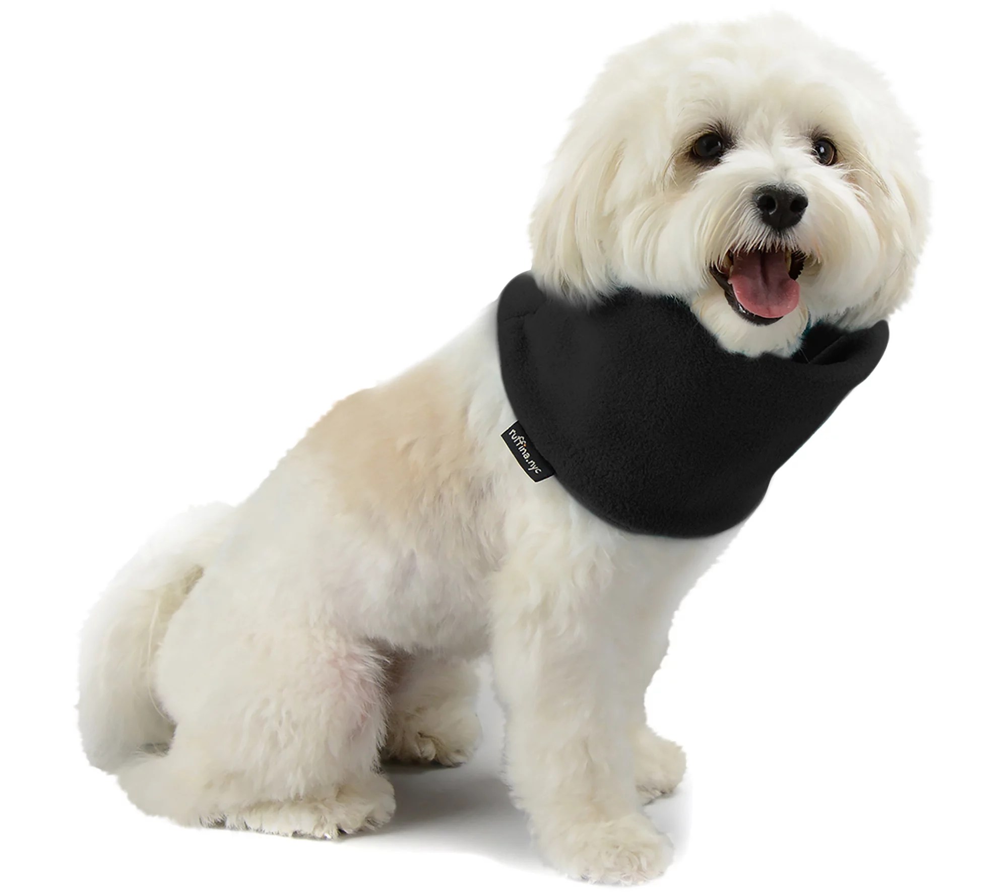 Polartec Snood for Dogs