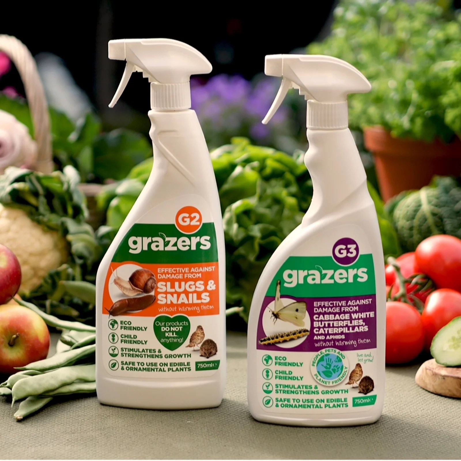 The Organic Gardening Catalogue Seaweed Feed & Protect Kit QVC UK