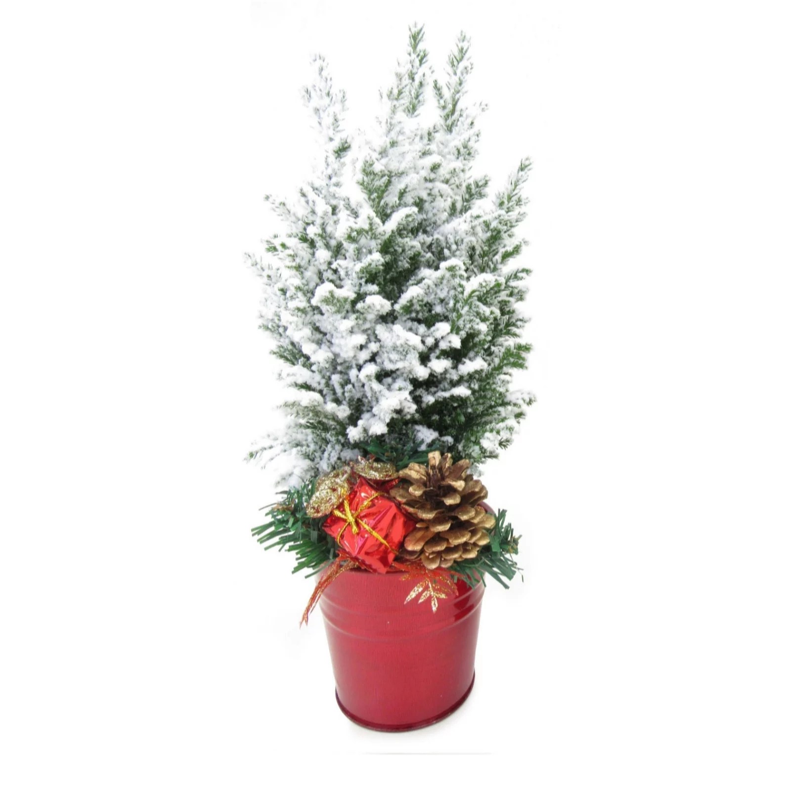 Hayloft Plants 2 x Miniature Christmas Trees in Pot with Snow&Lights QVC UK