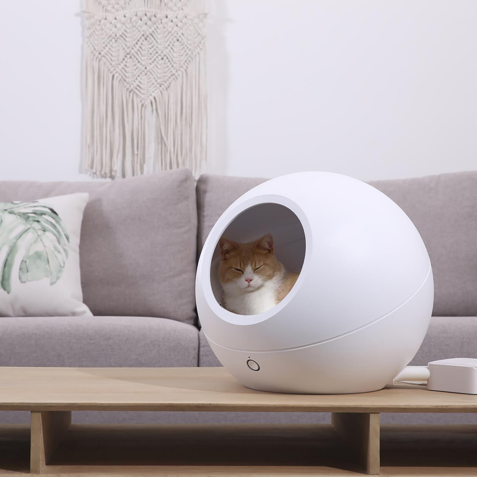 Petkit Smart Cozy Pet House QVC UK