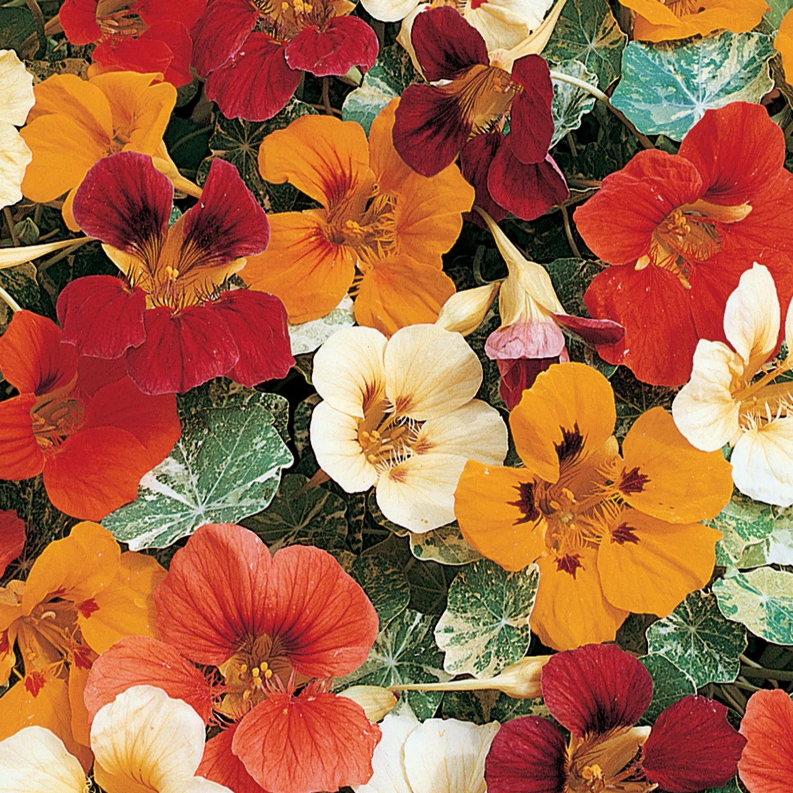 Brilliant Bedding QVC UK