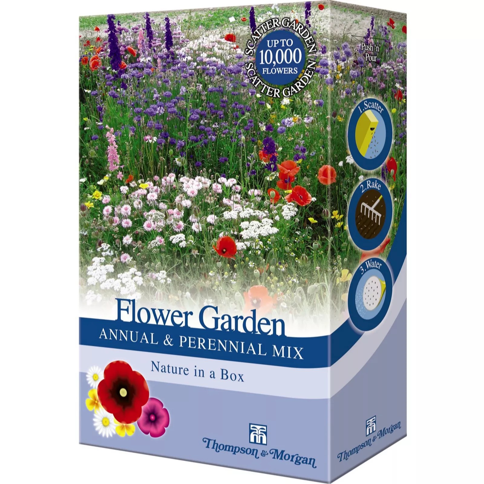 Scatter Pack Flower Garden Annual and Perennial QVC UK