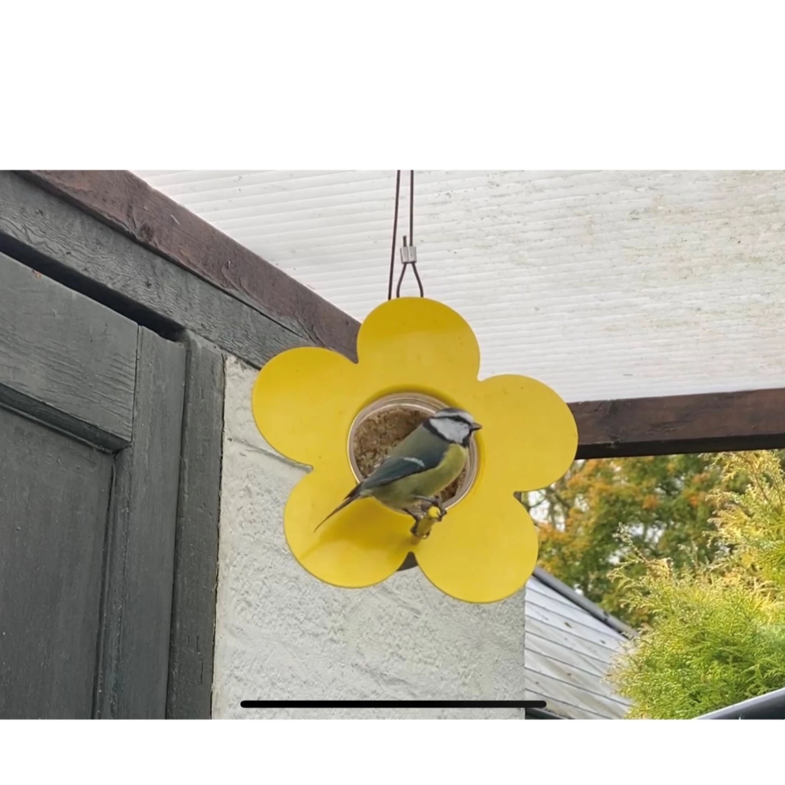 Grumpy Gardener Set of 2 Hanging Flower Feeders with Nut Pecker Jars