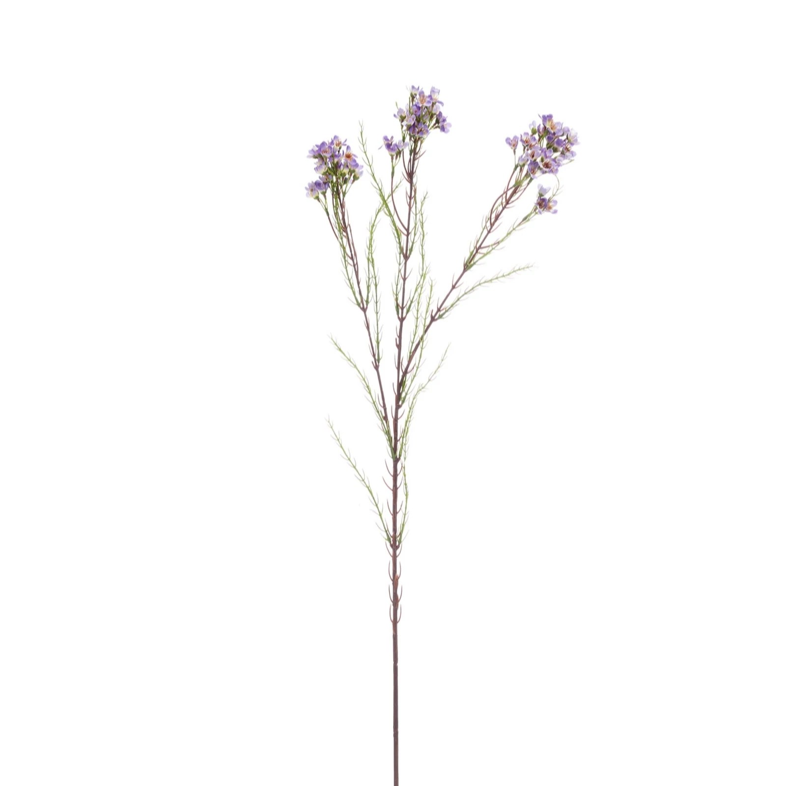 Peony Set of 3 Purple Wax Flower Stems QVC UK