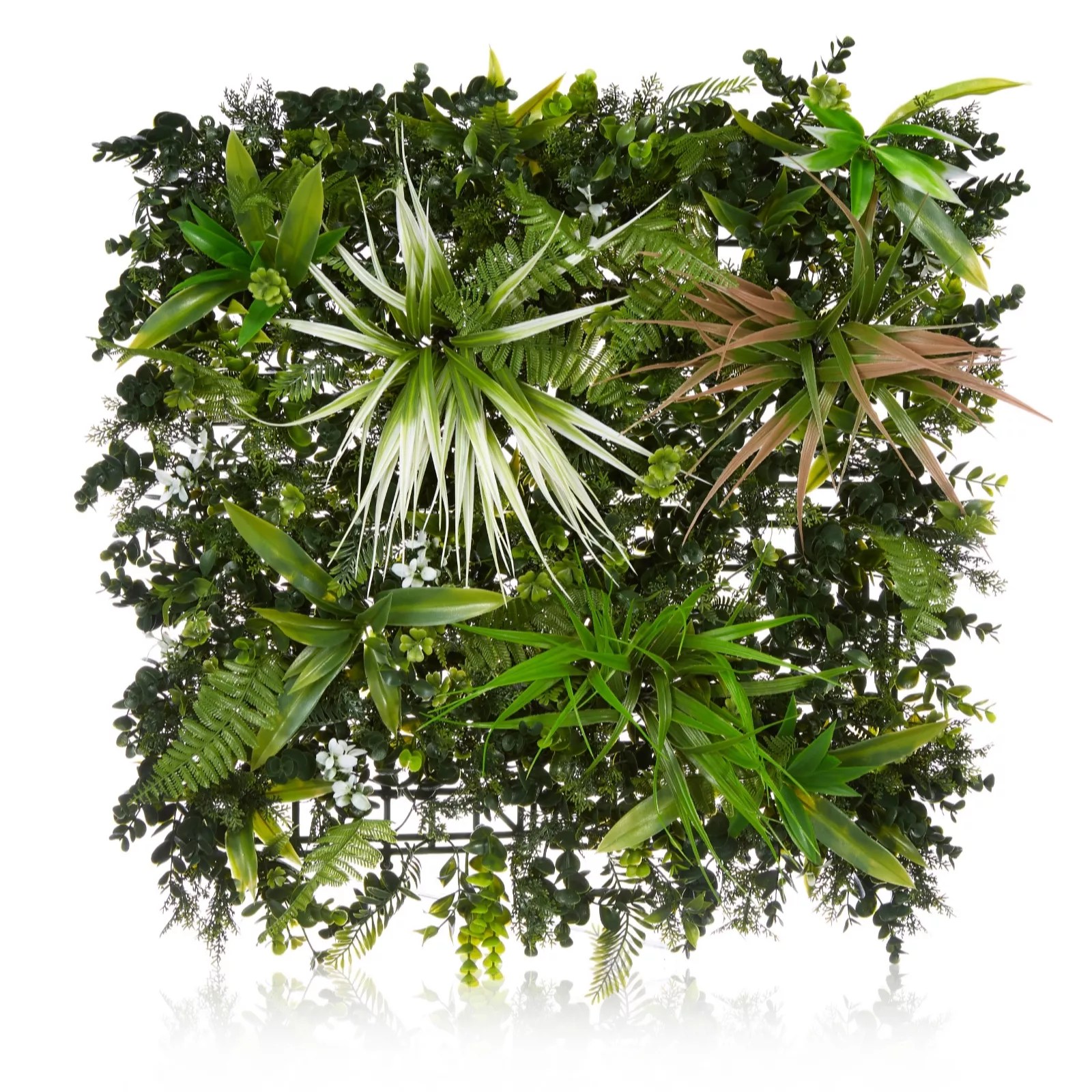 Bundleberry by Amanda Holden Tropical Living Wall QVC UK